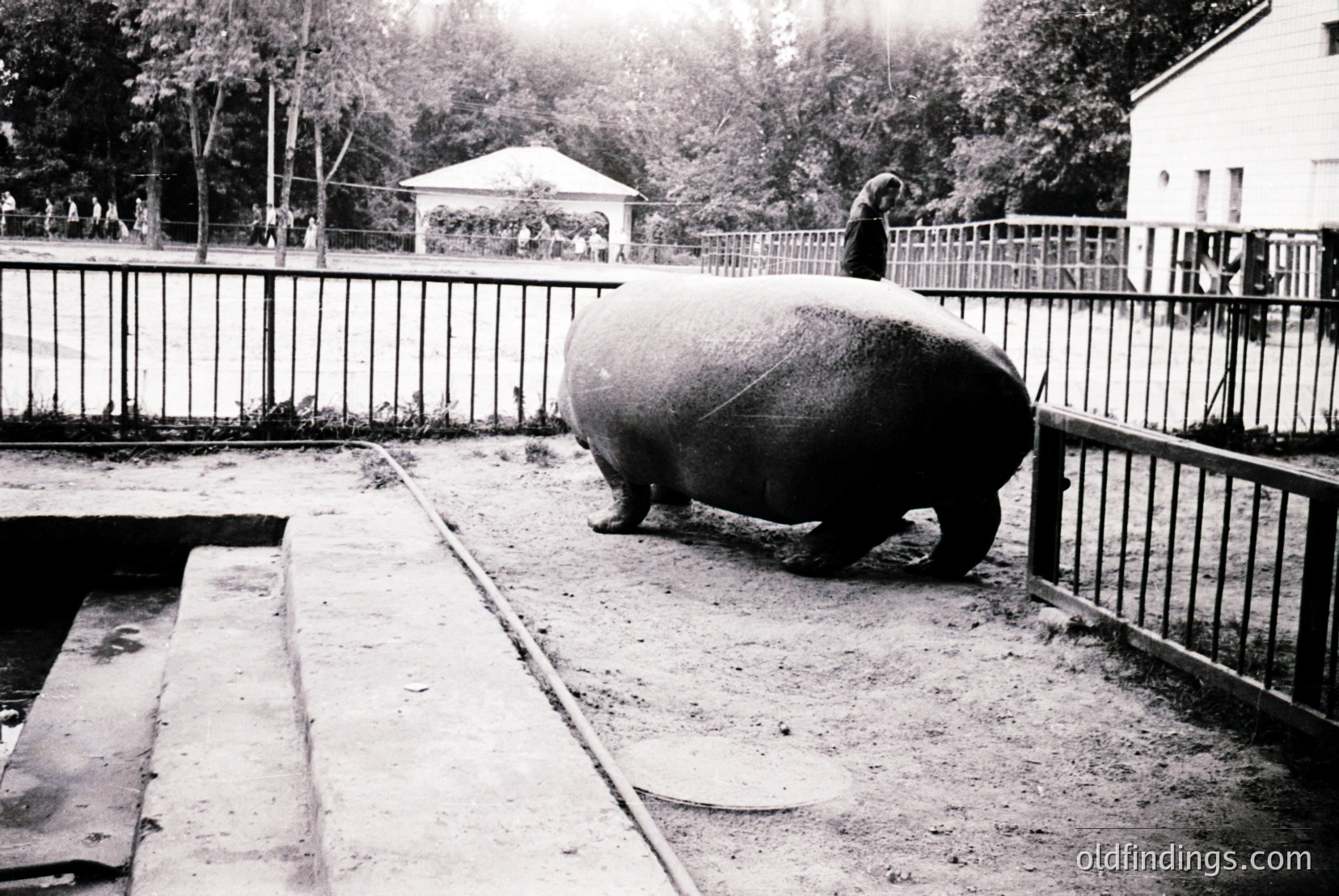 Vintage photograph