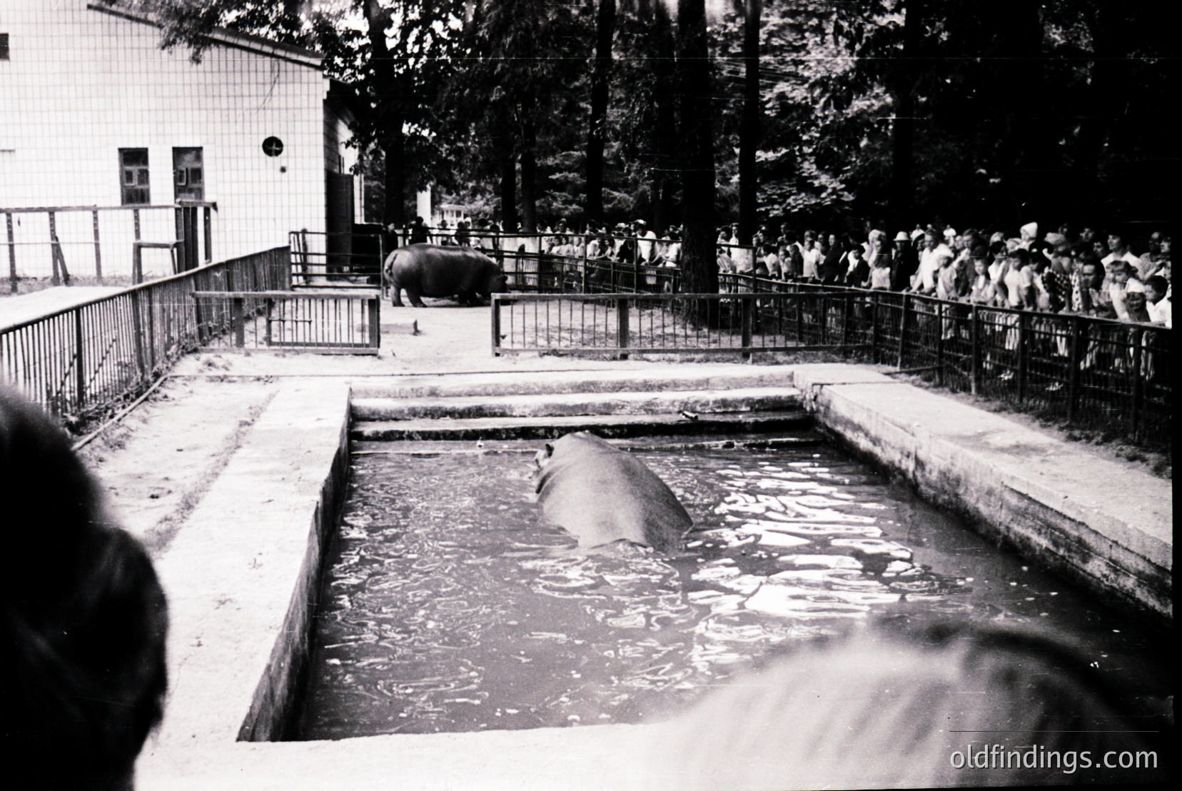 Vintage photograph