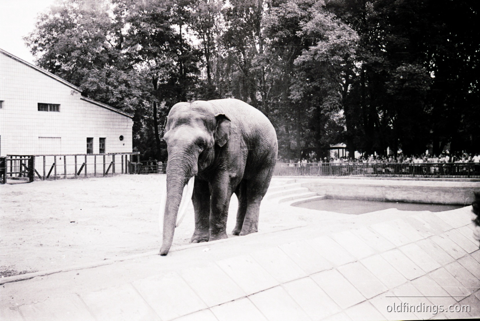 Vintage photograph