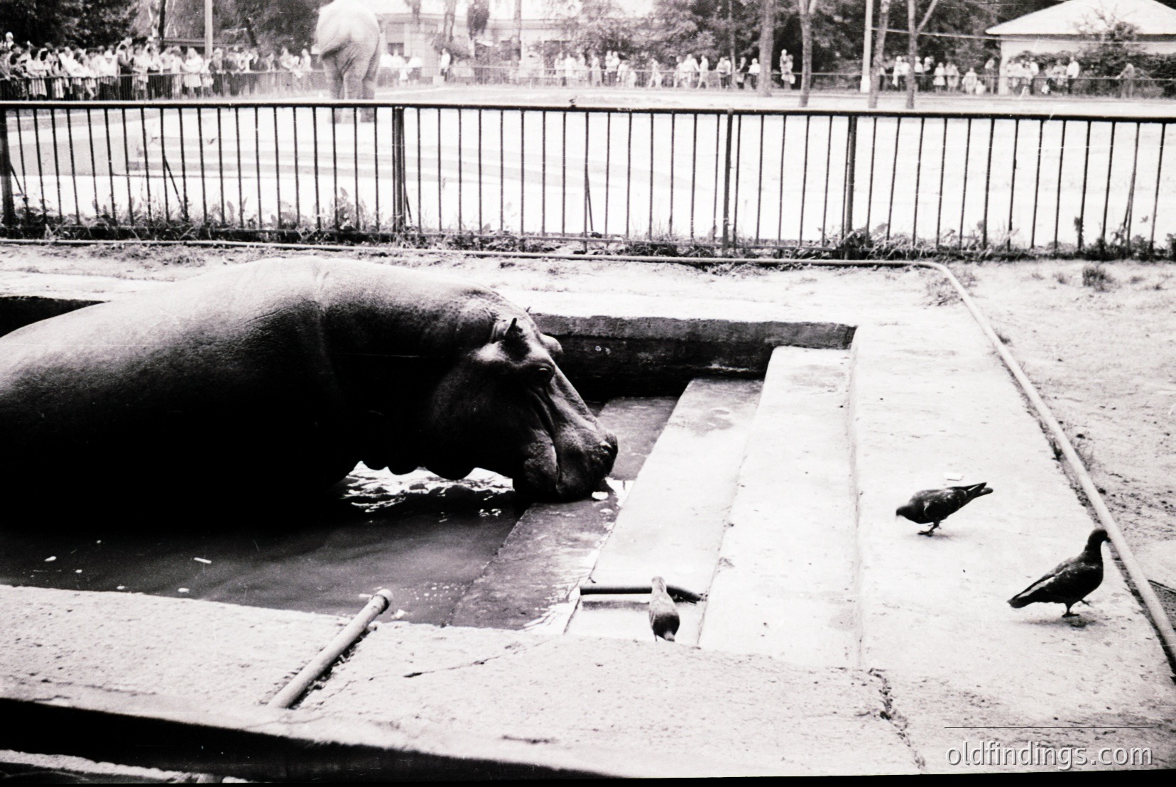 Vintage photograph
