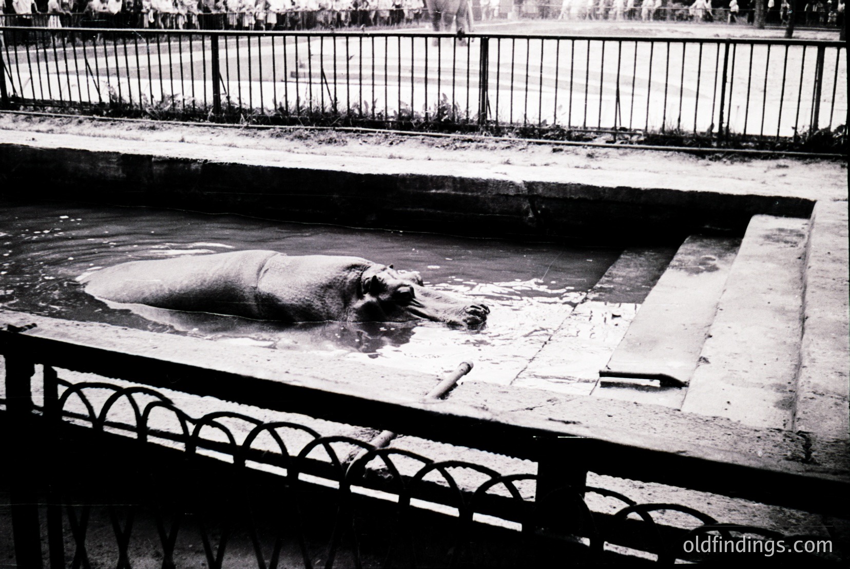 Vintage photograph
