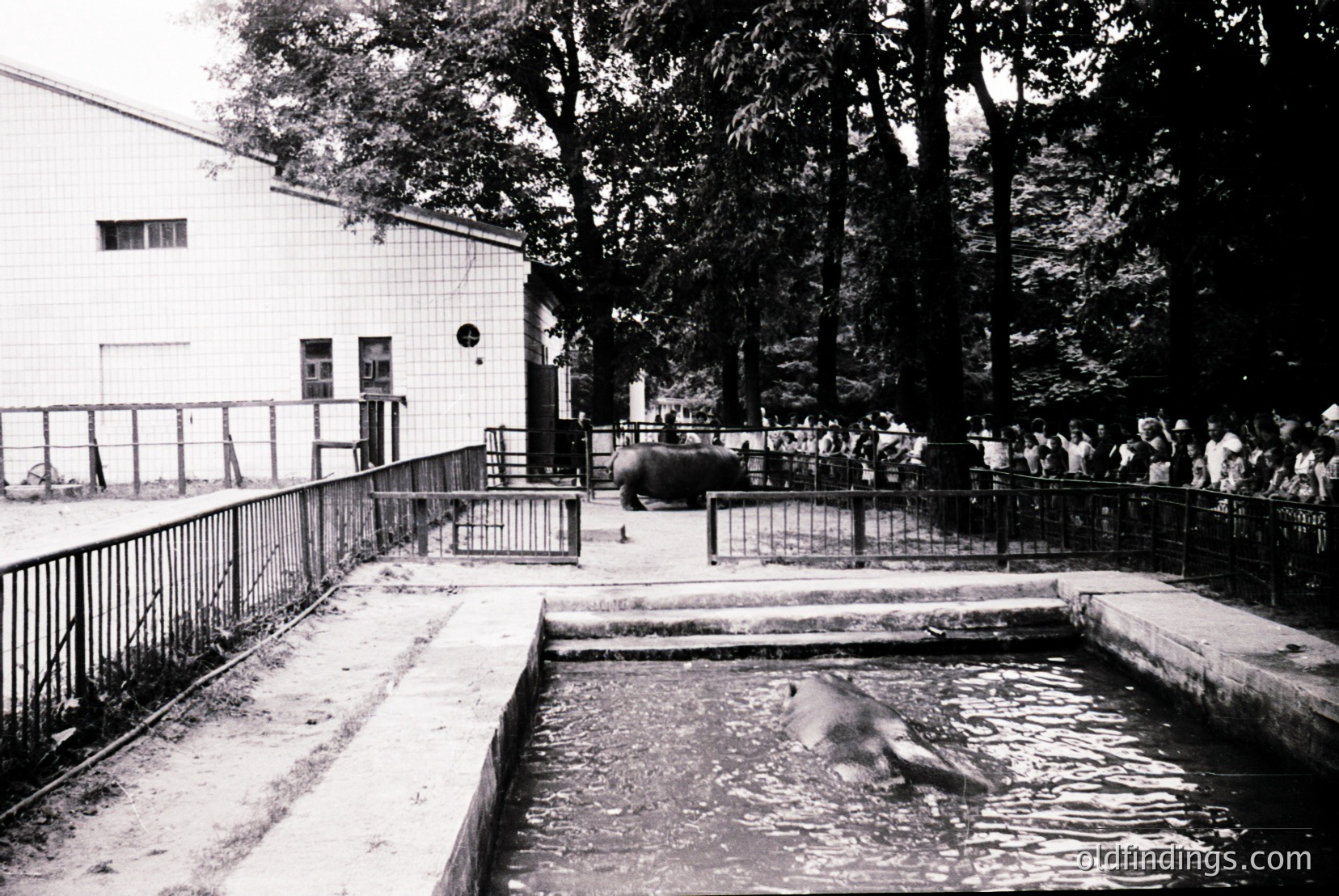 Vintage photograph