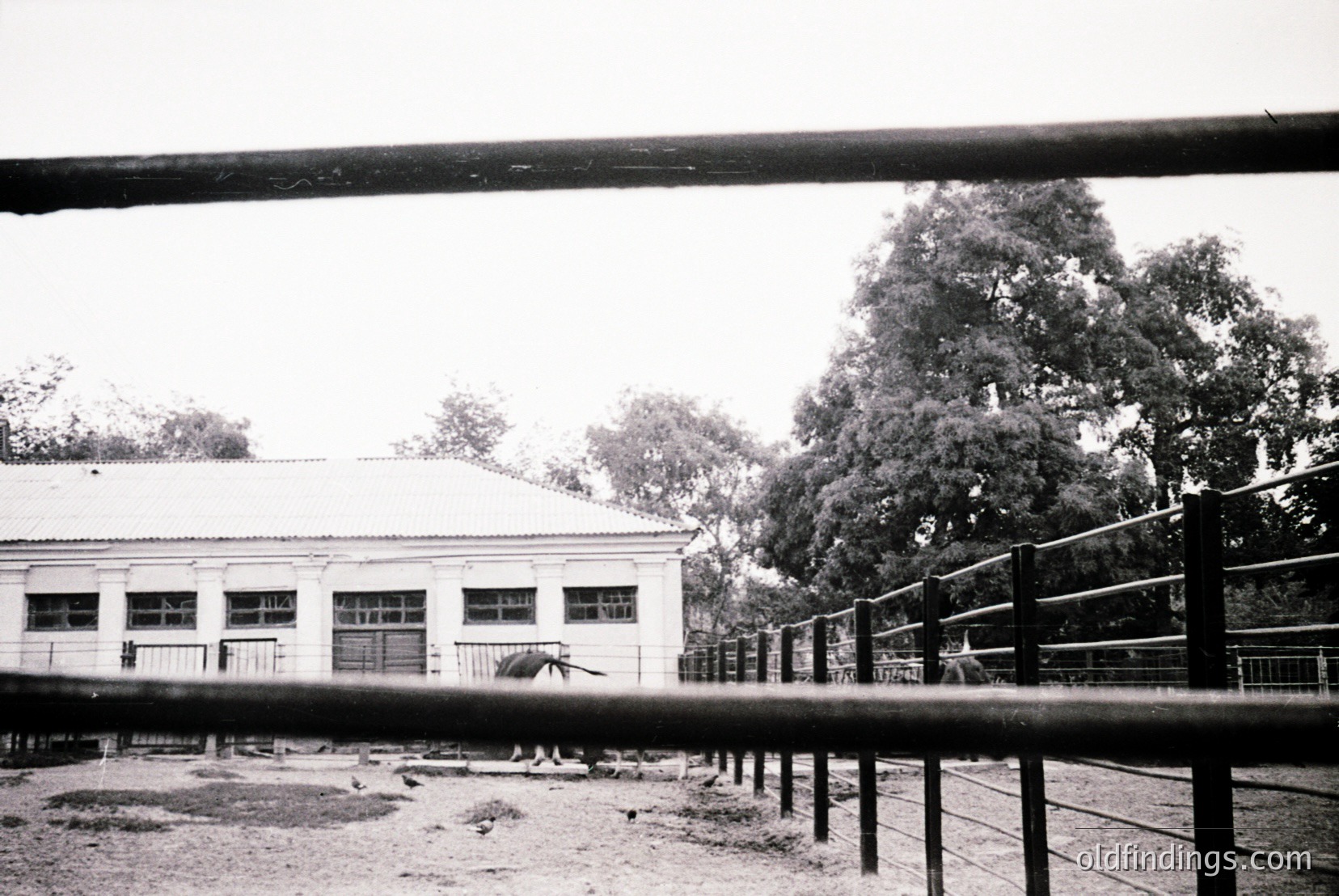 Vintage photograph