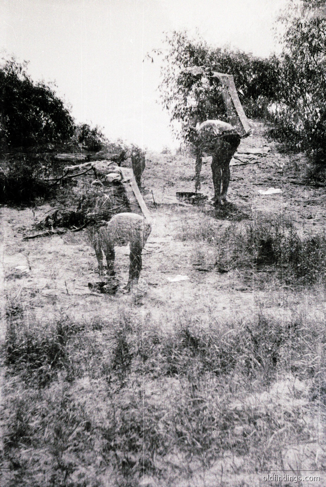Vintage photograph