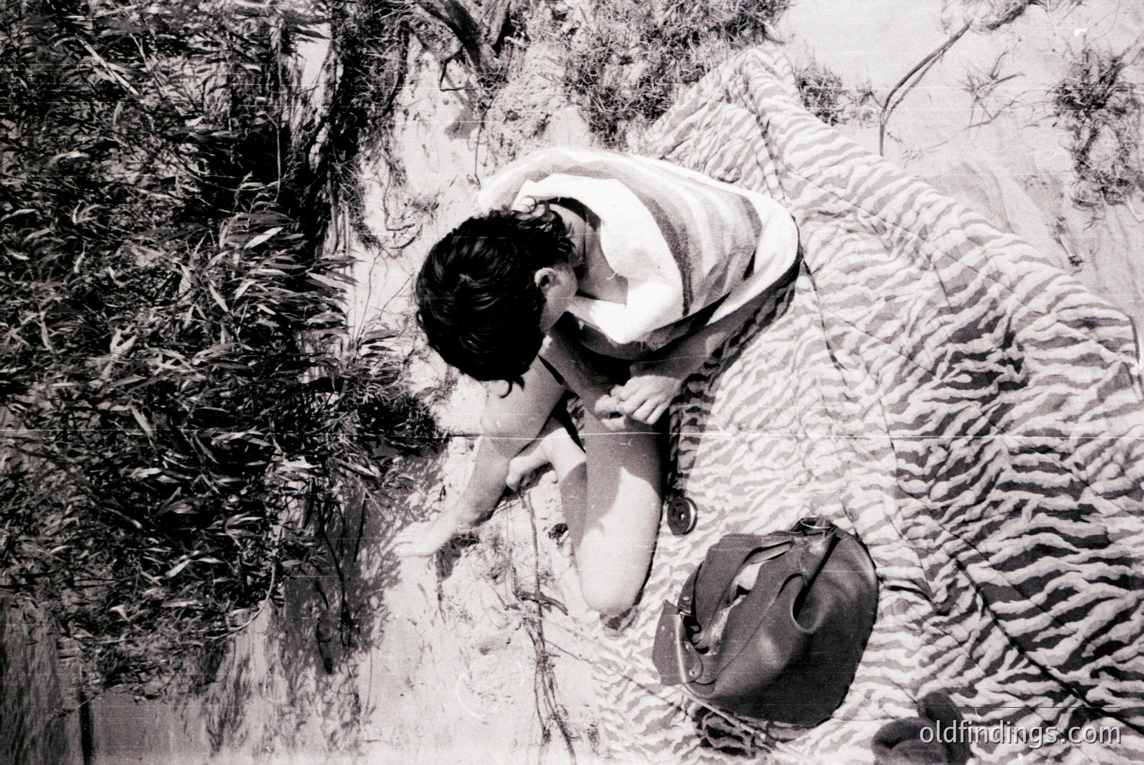 Vintage photograph