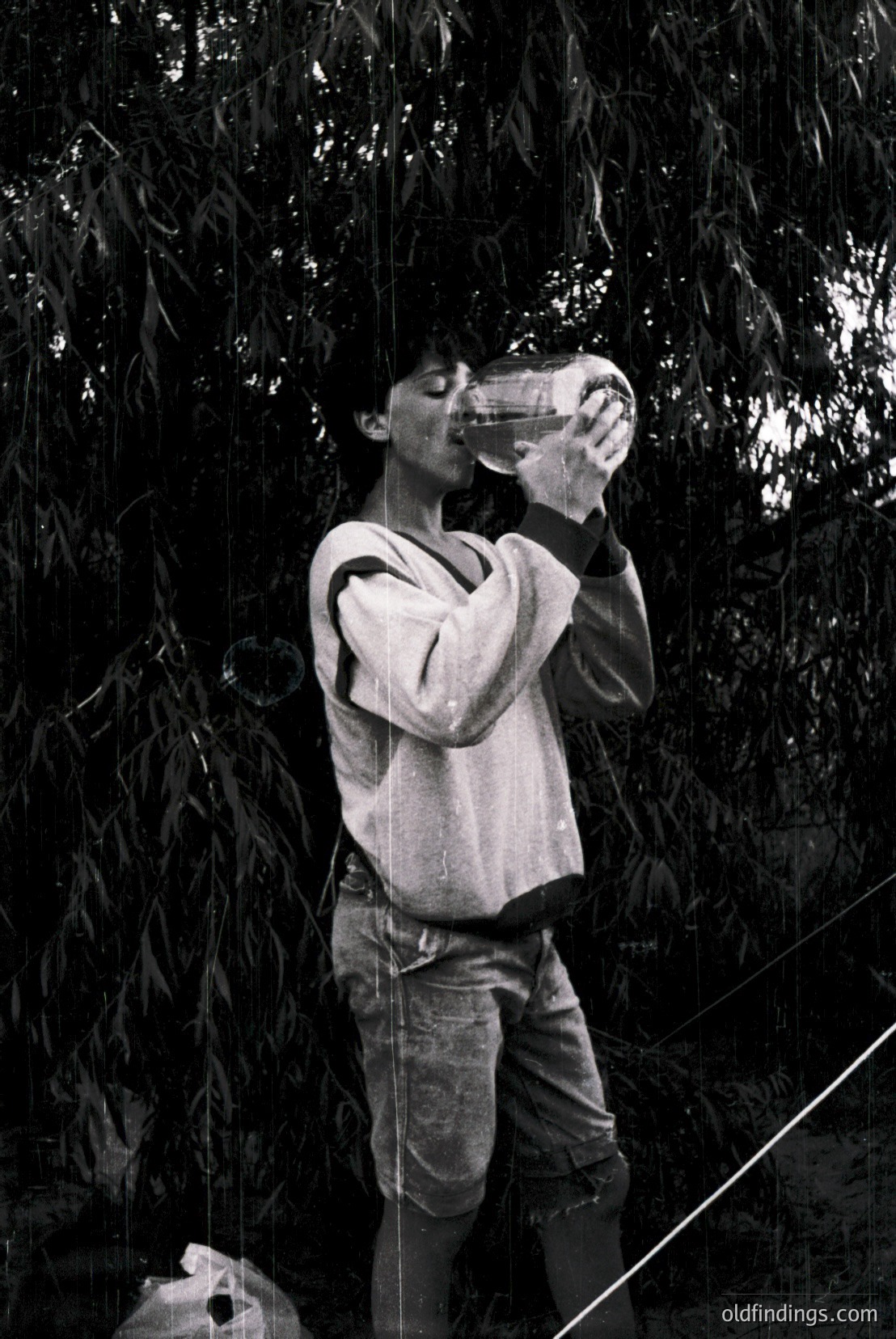Vintage photograph