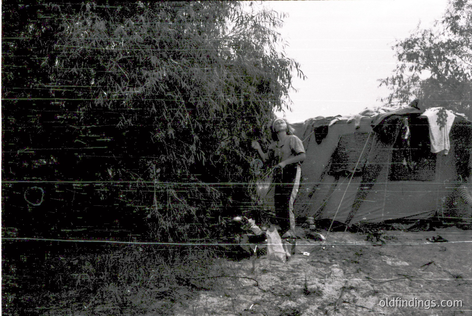 Vintage photograph