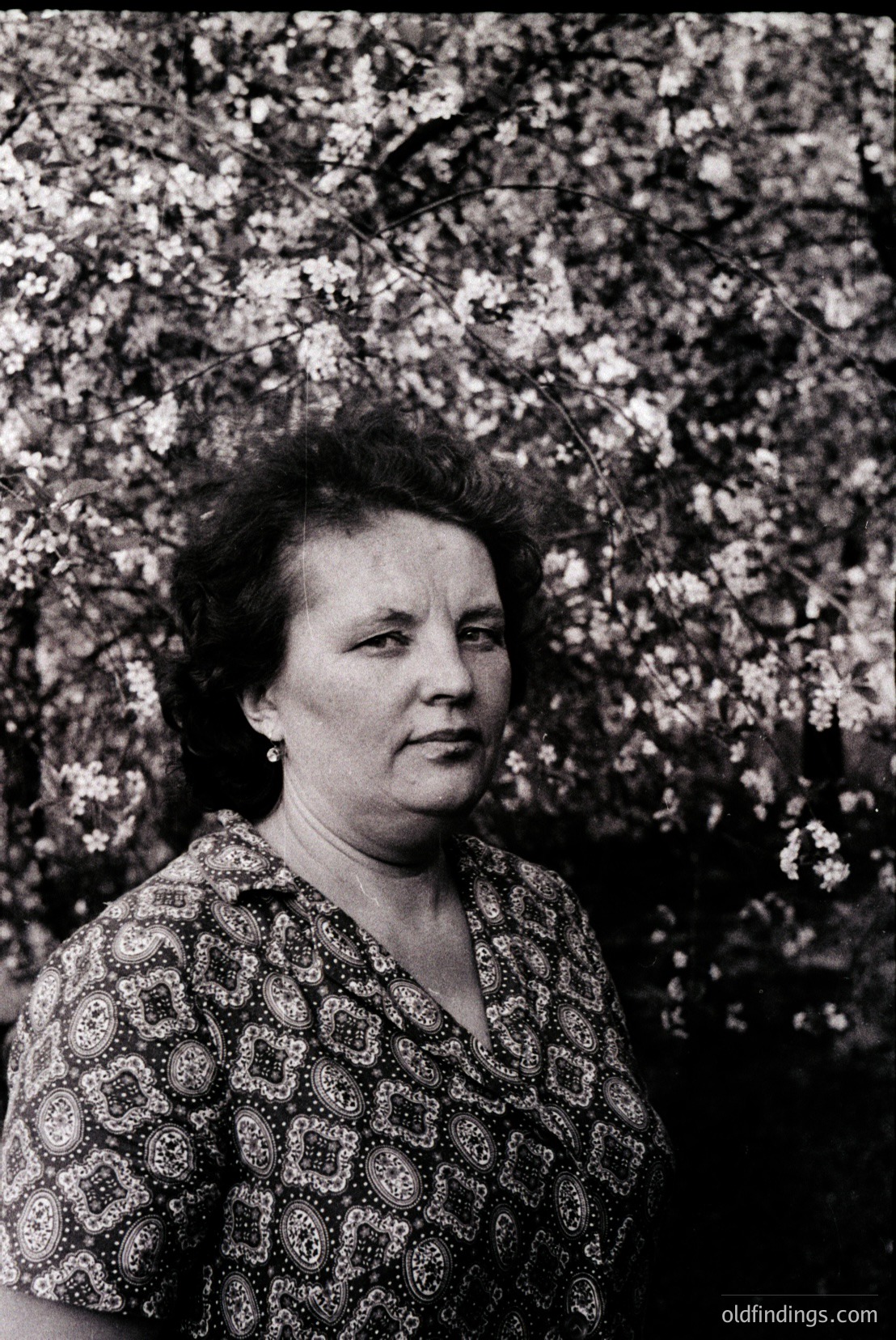 Vintage photograph