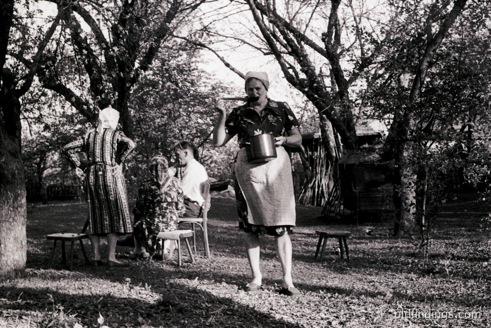 Vintage photograph