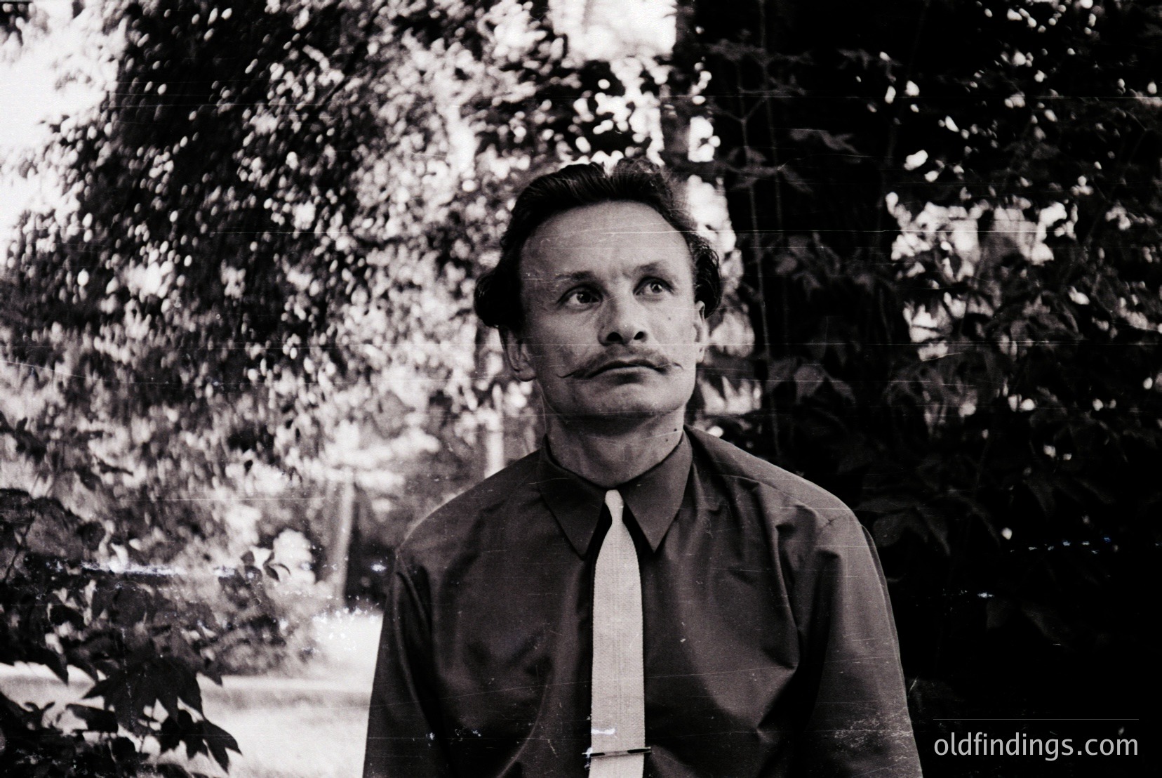 Vintage photograph