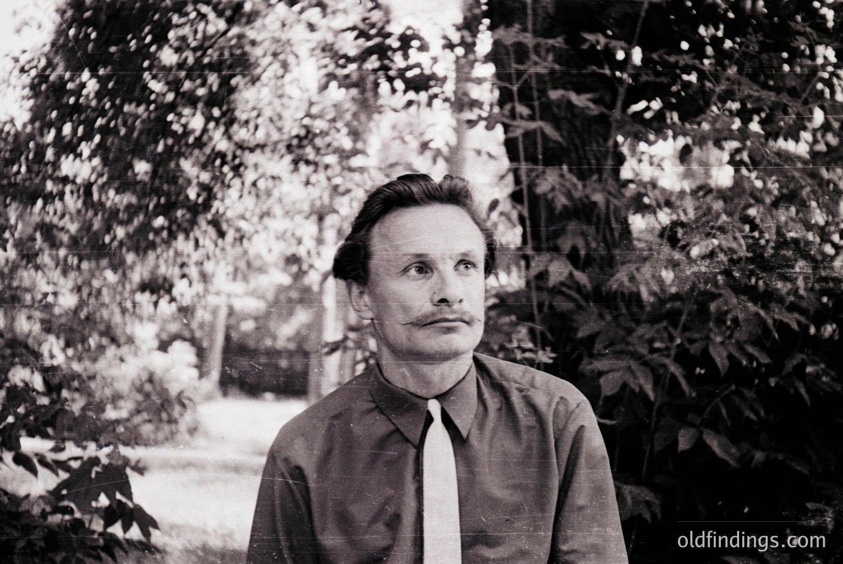 Vintage photograph