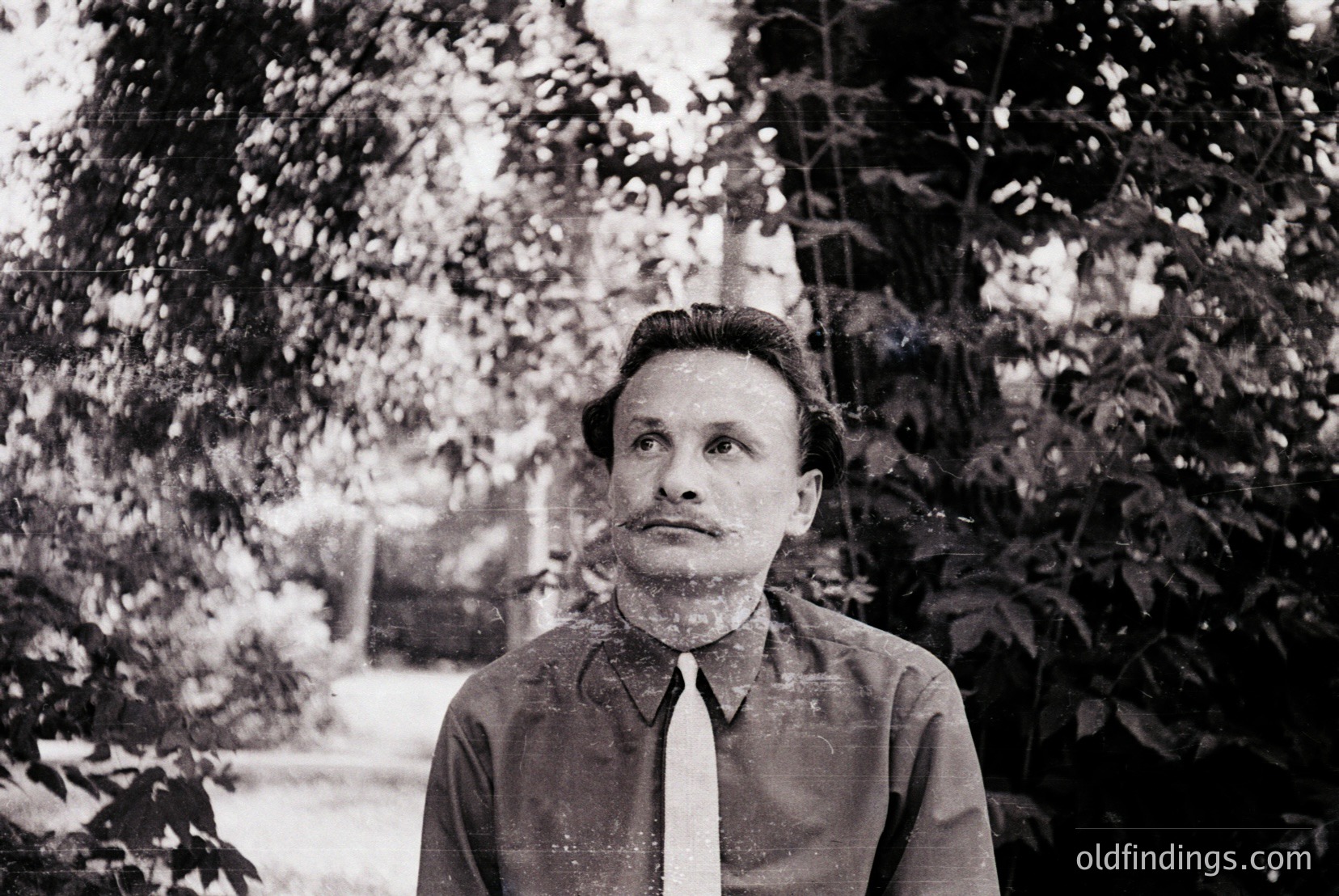 Vintage photograph