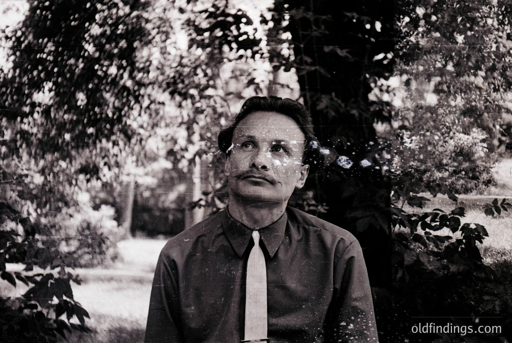Vintage photograph