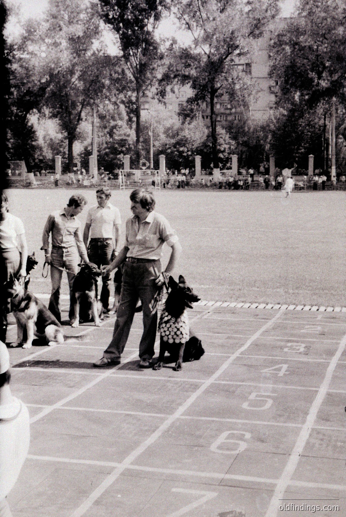Vintage photograph