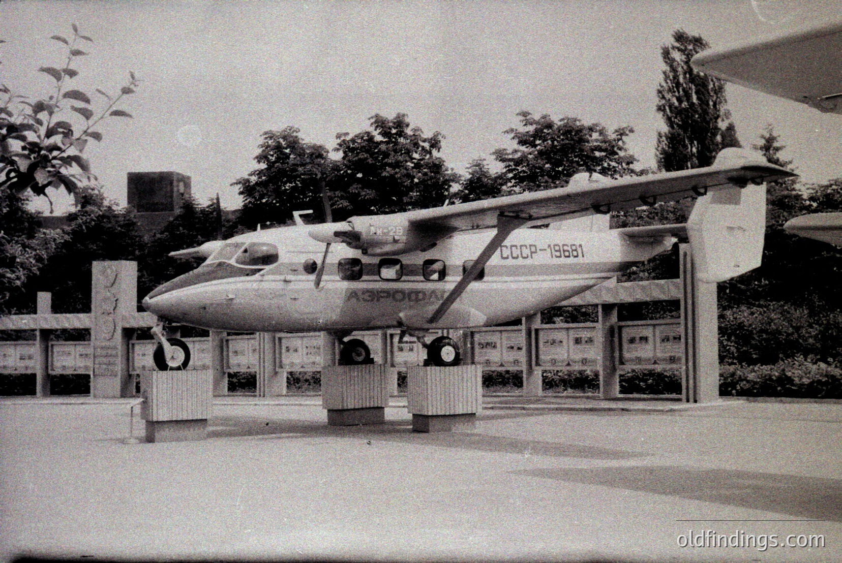 Vintage photograph