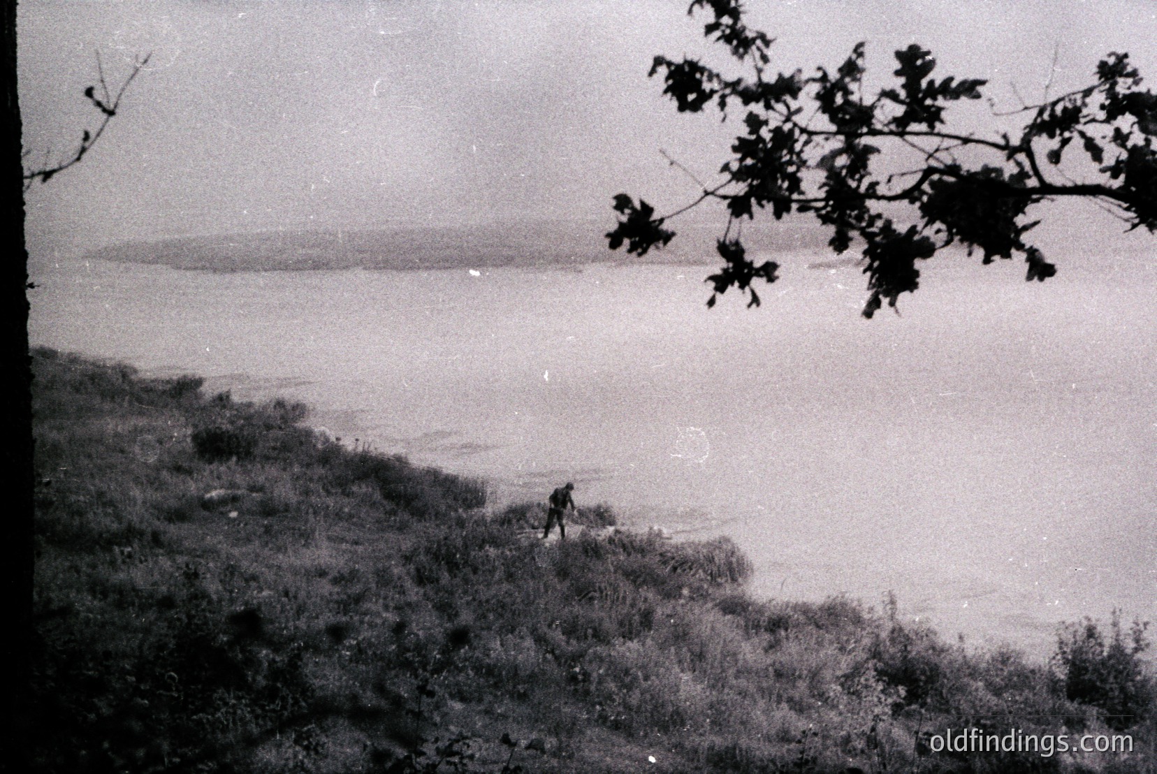 Vintage photograph