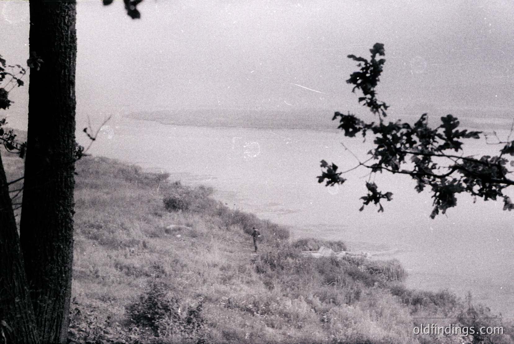 Vintage photograph