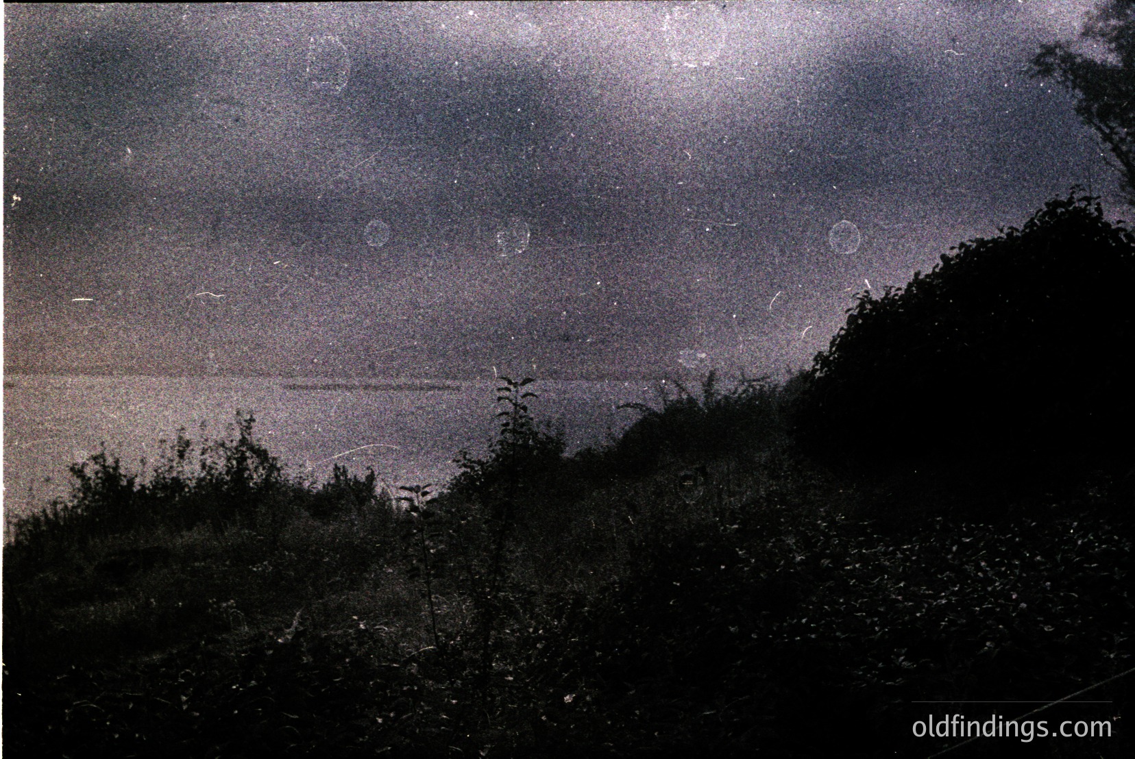 Vintage photograph