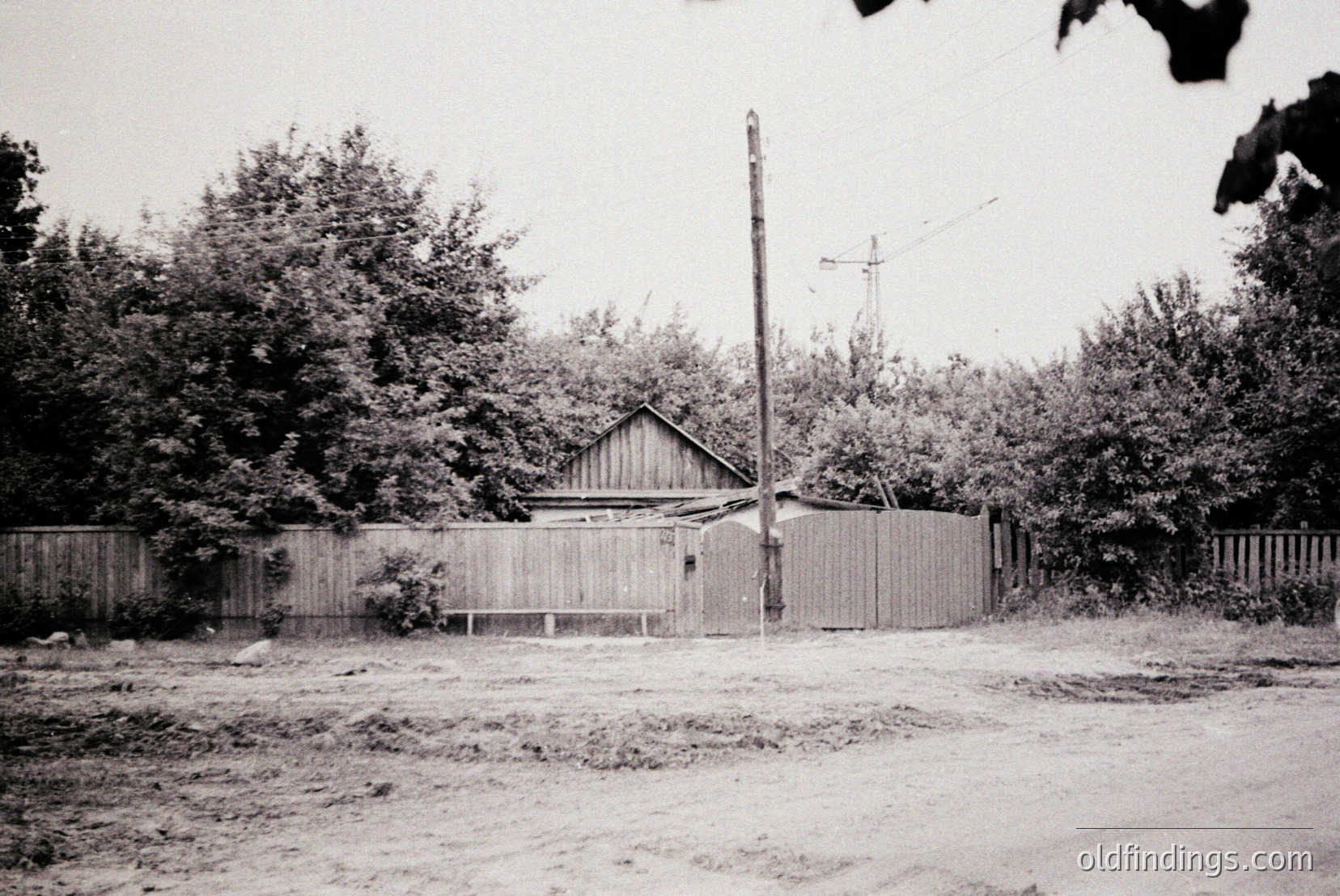 Vintage photograph