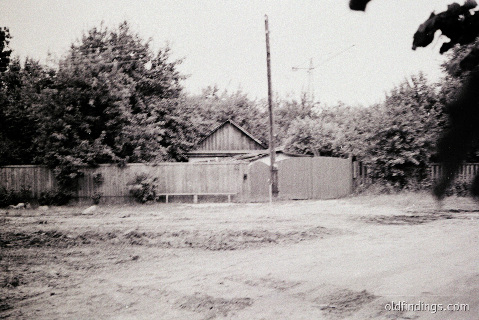Vintage photograph