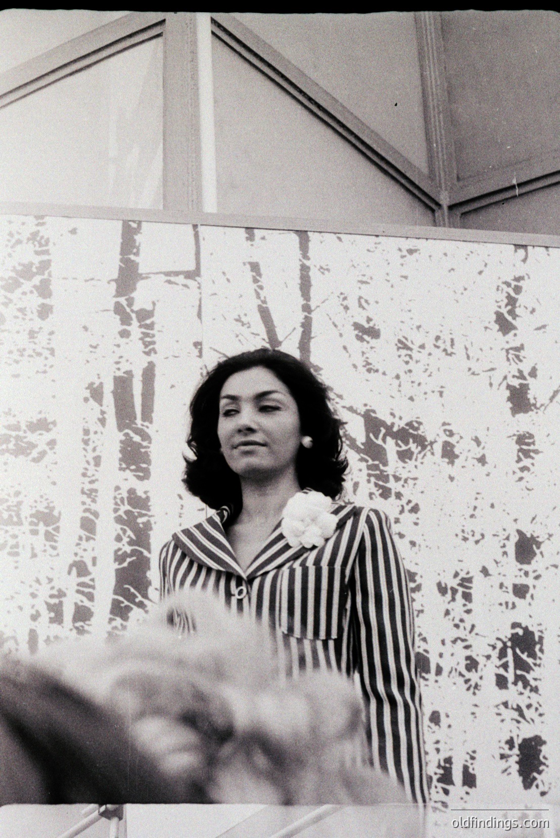 Vintage photograph