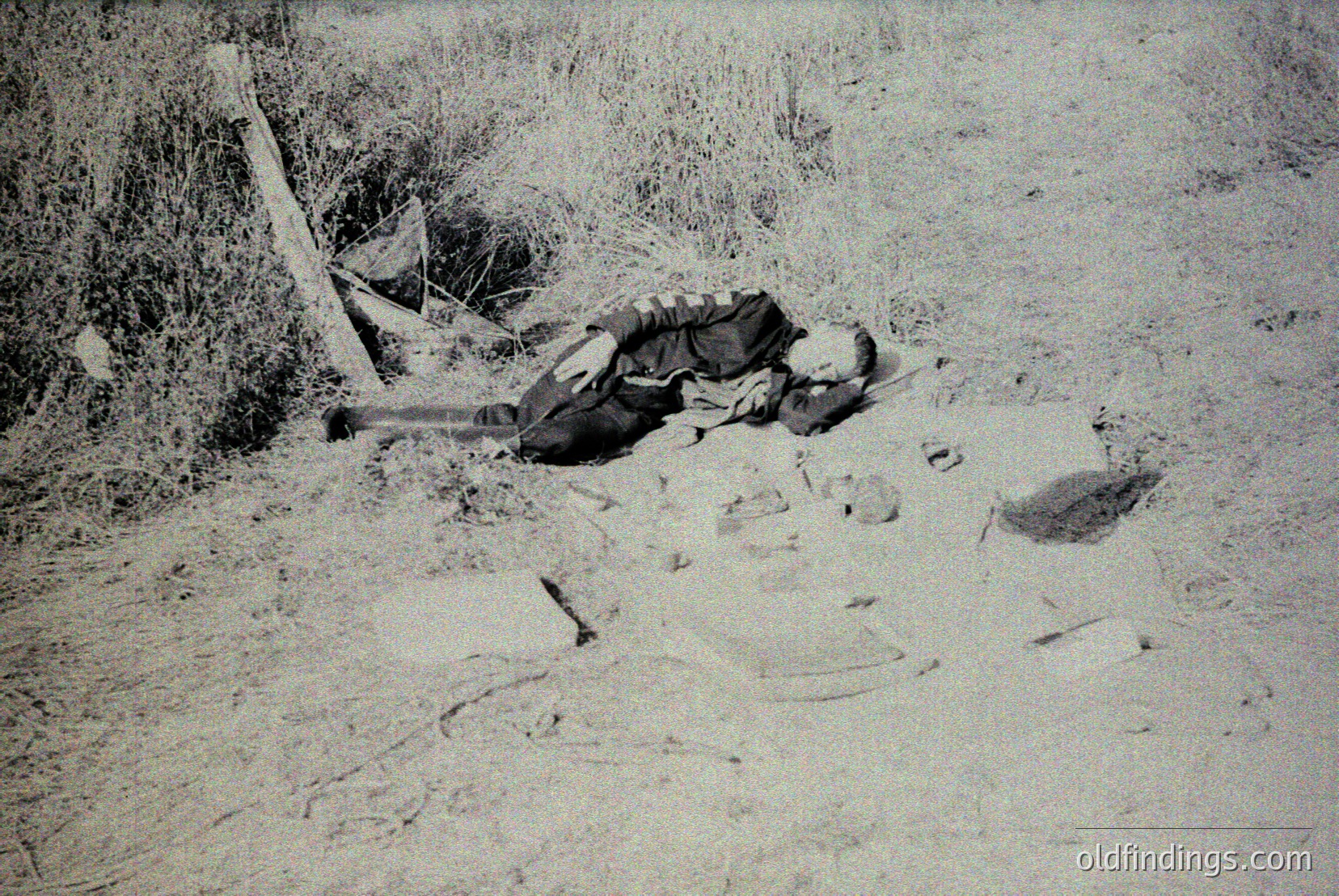 Vintage photograph