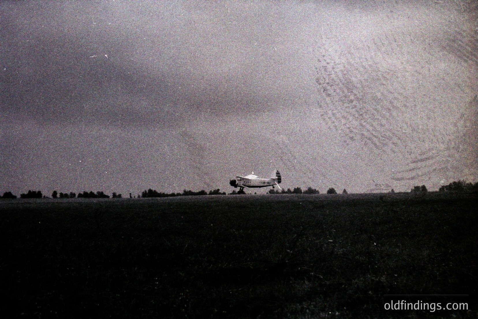 Vintage photograph