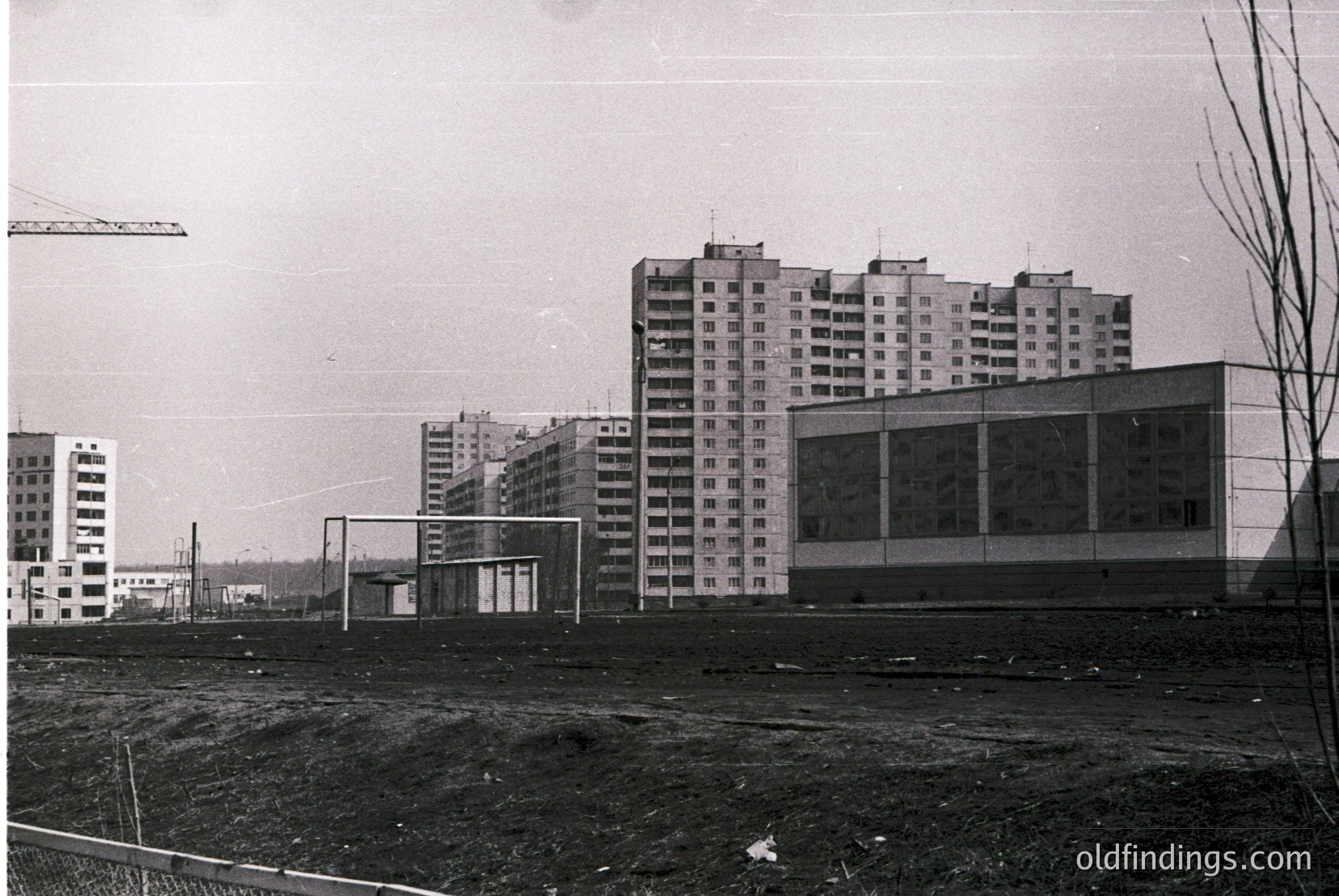 Vintage photograph