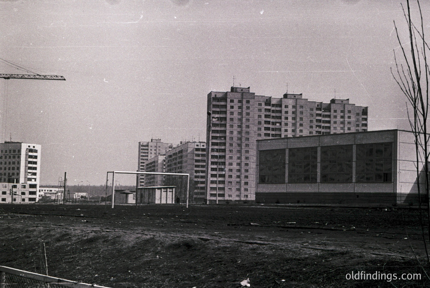 Vintage photograph