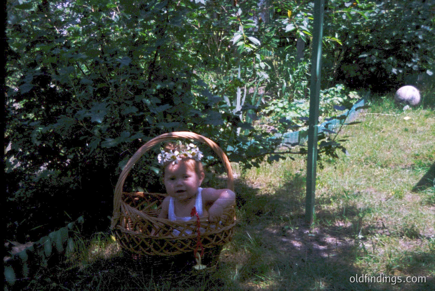 Vintage photograph