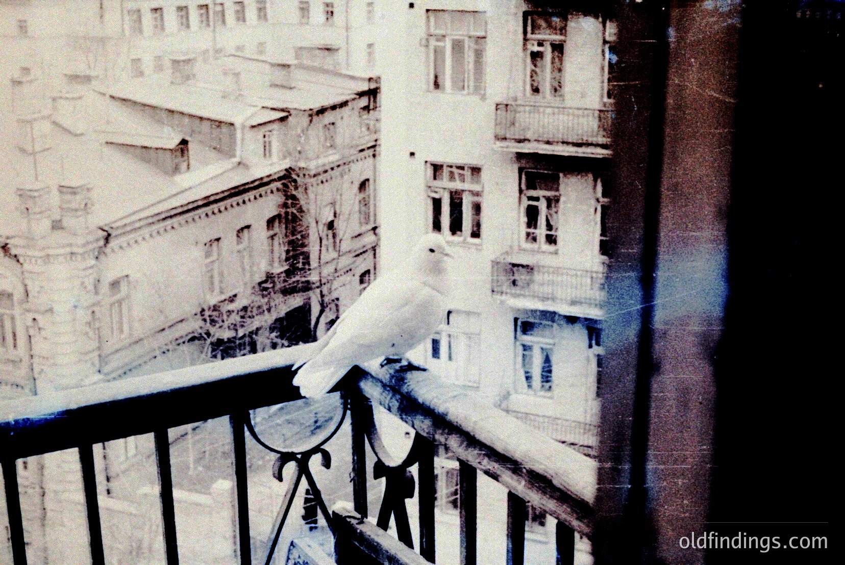 Vintage photograph