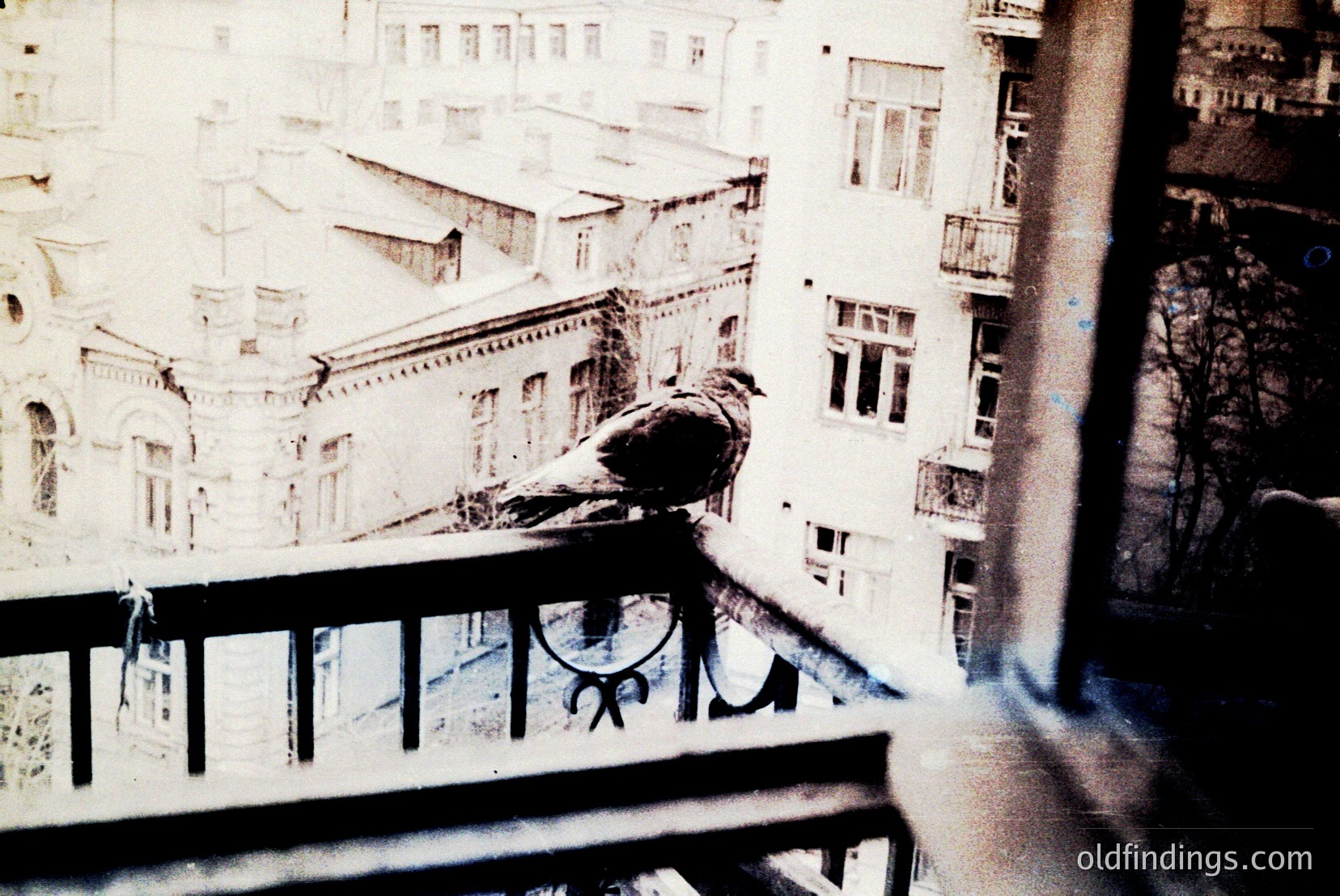 Vintage photograph