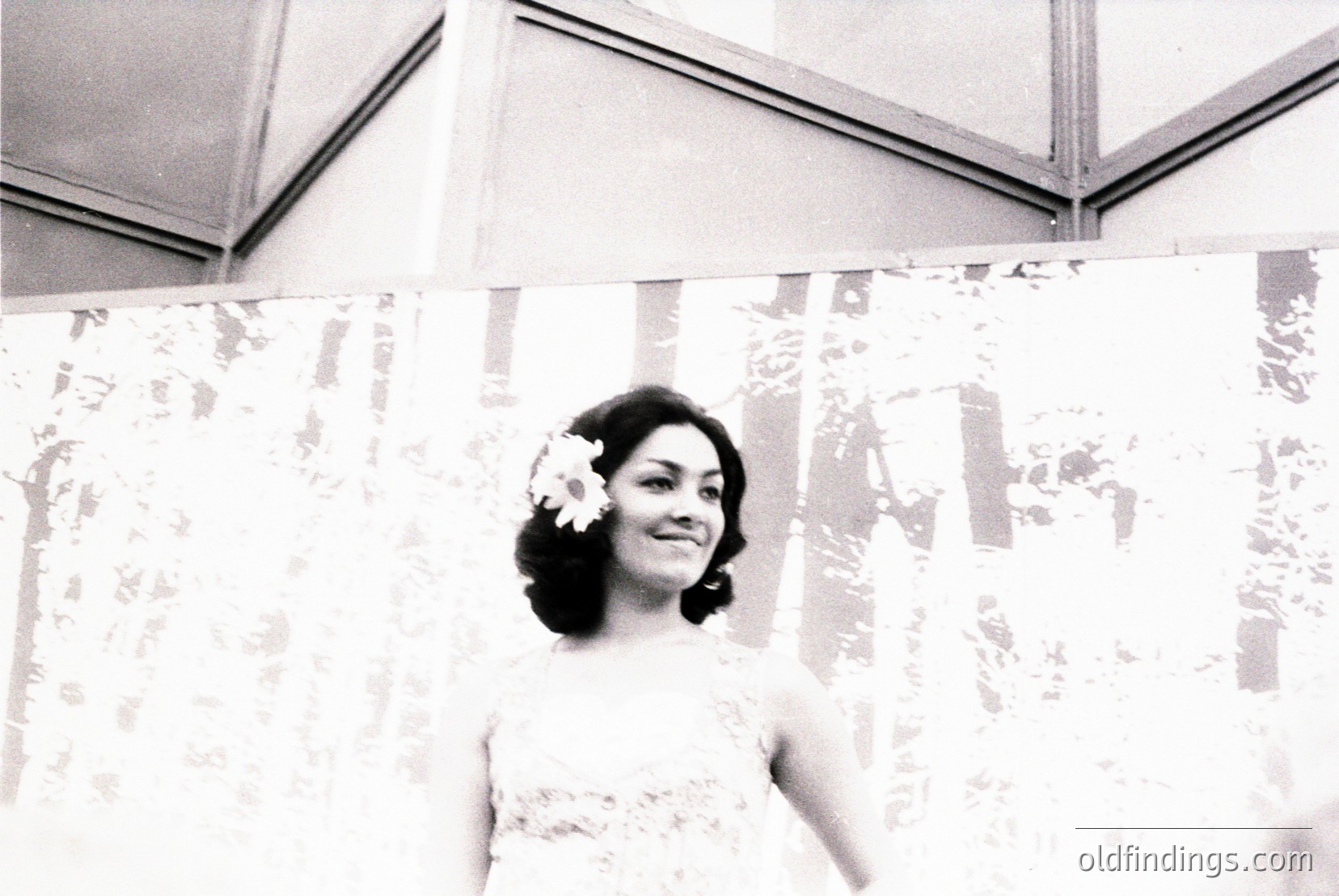 Vintage photograph