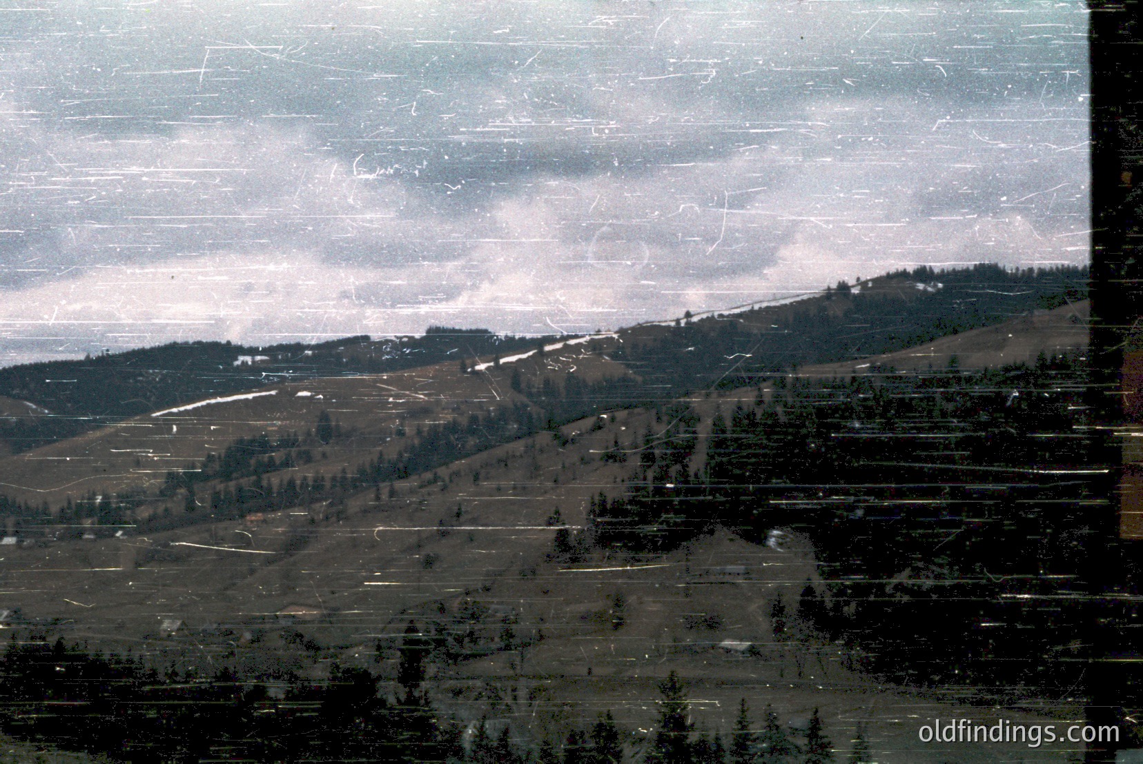 Vintage photograph