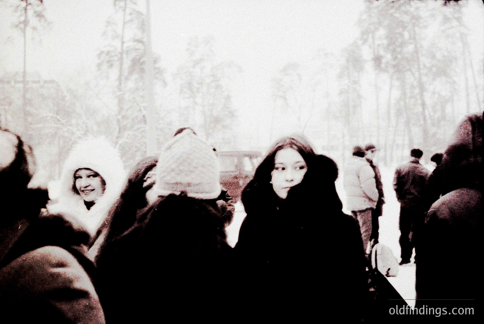 Vintage photograph