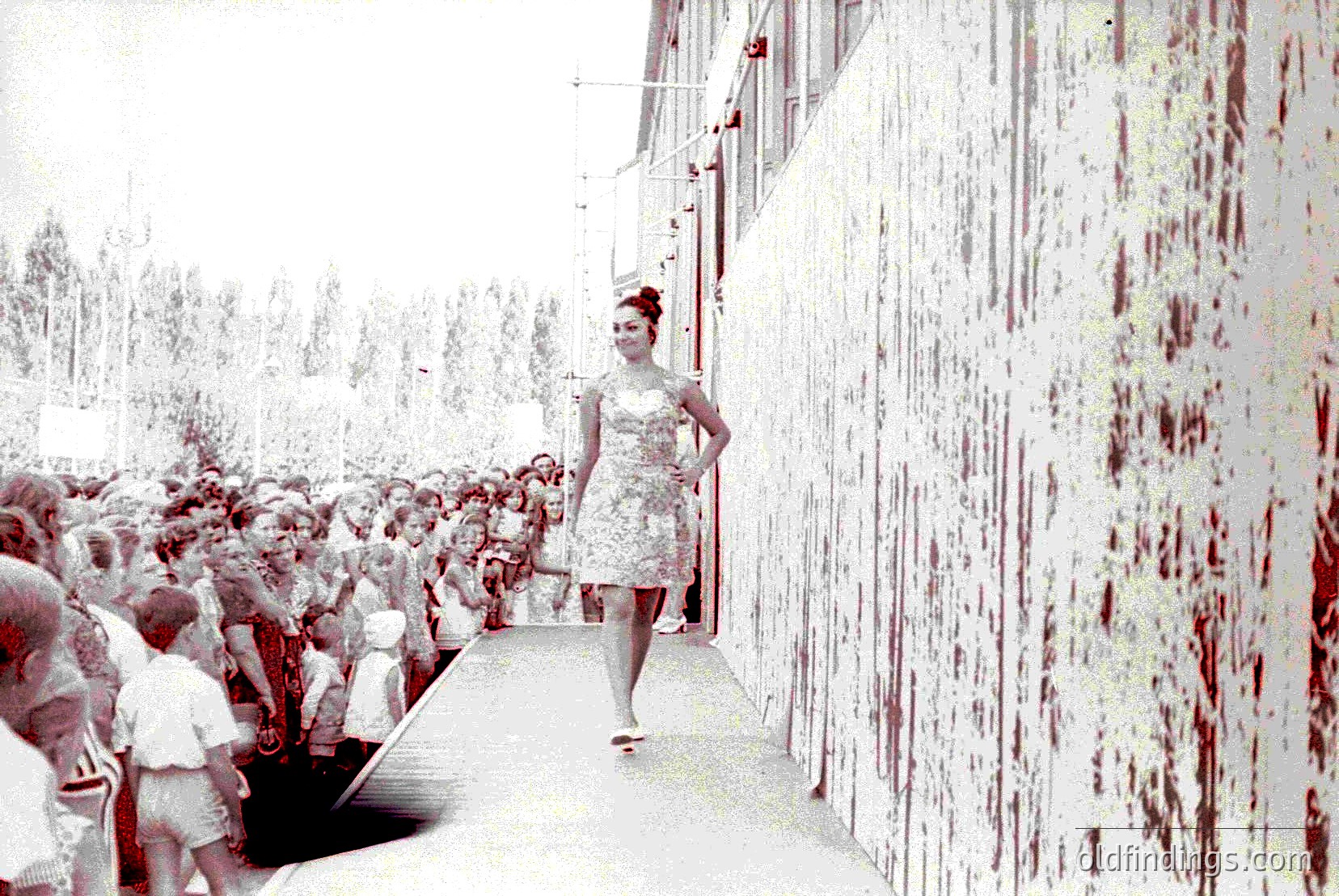 Vintage photograph