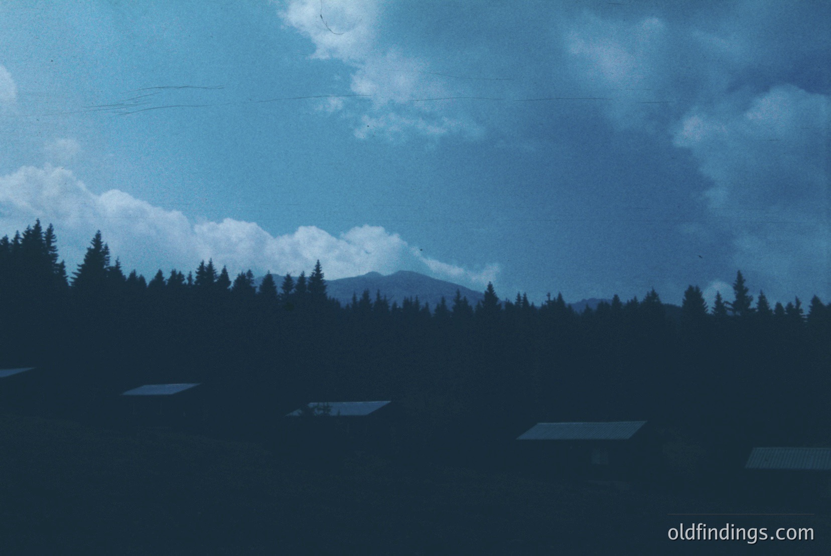 Vintage photograph