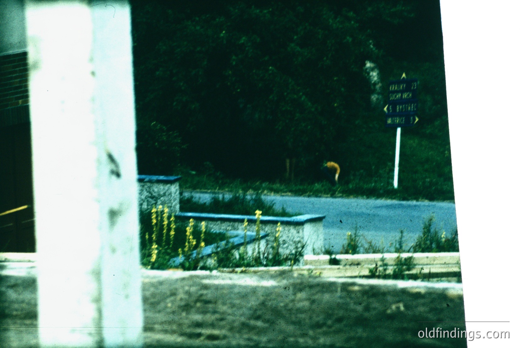 Vintage photograph