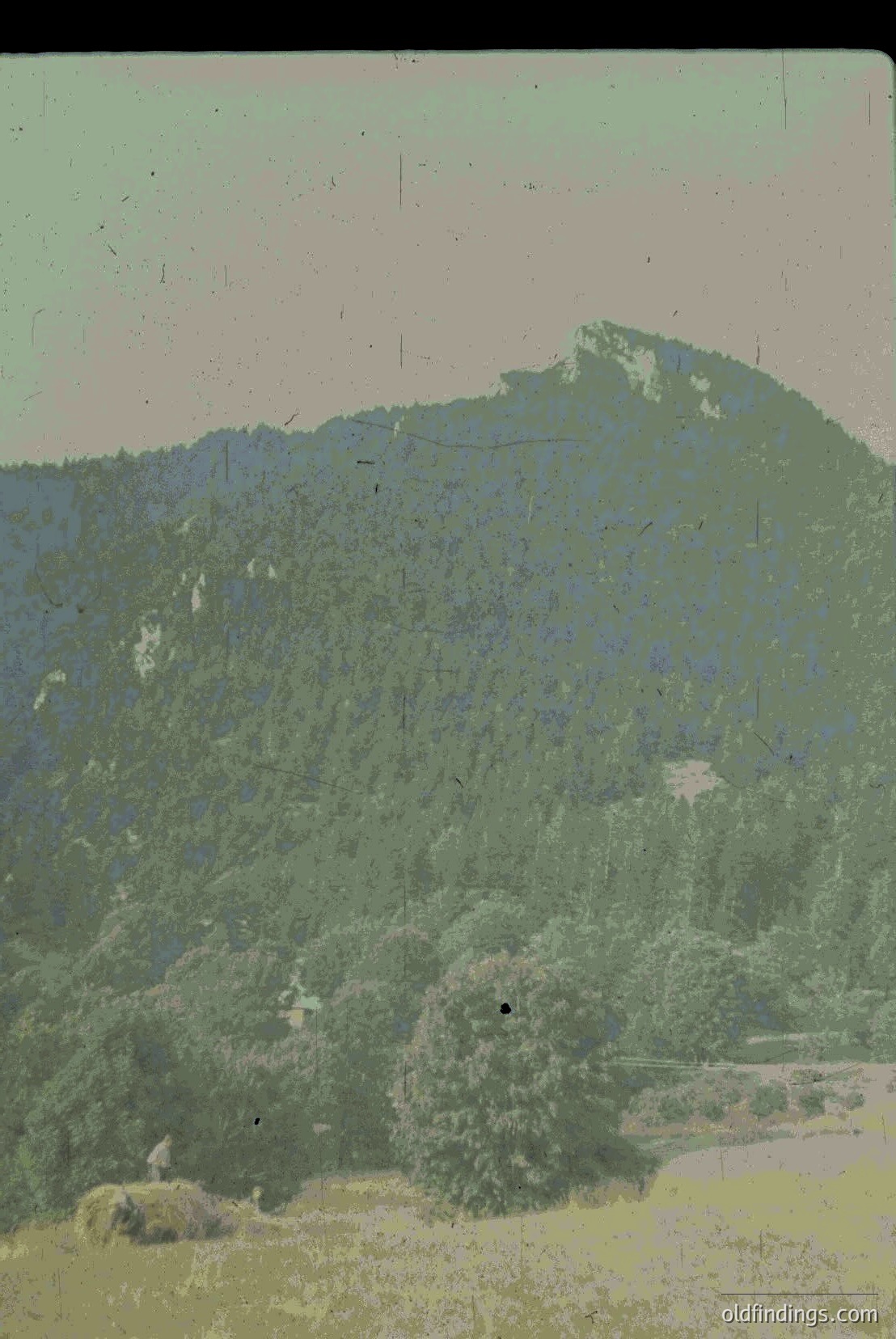 Vintage photograph