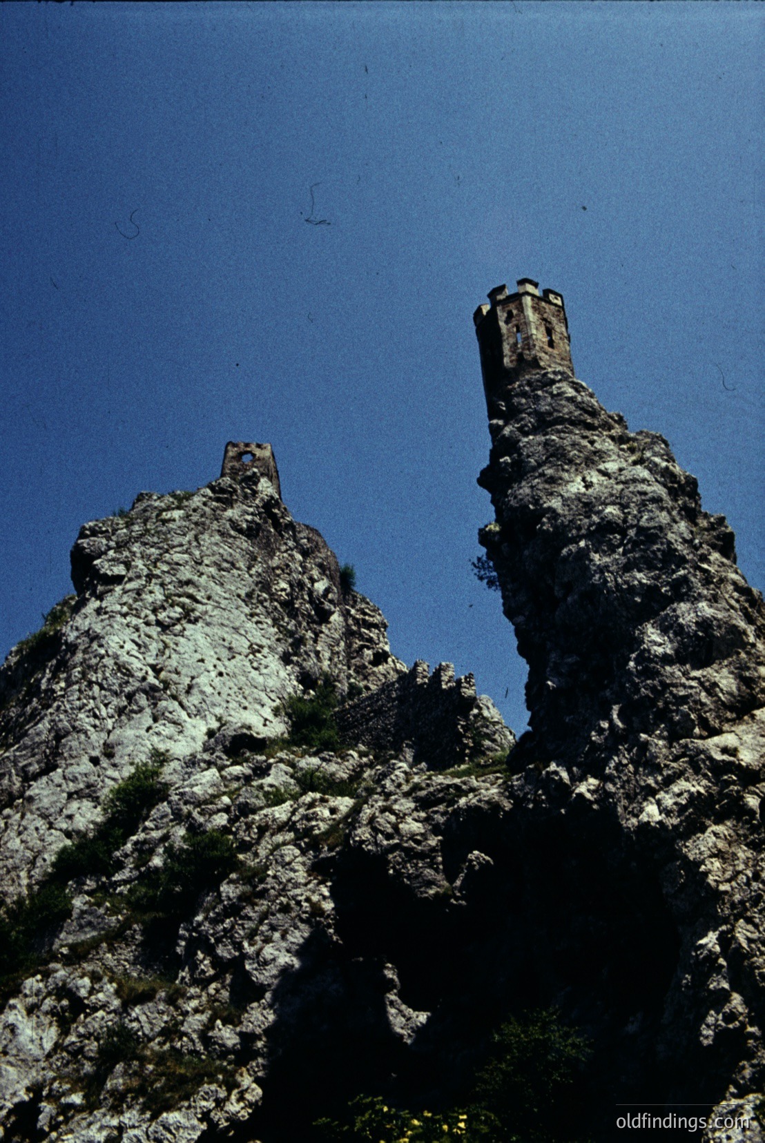 Vintage photograph