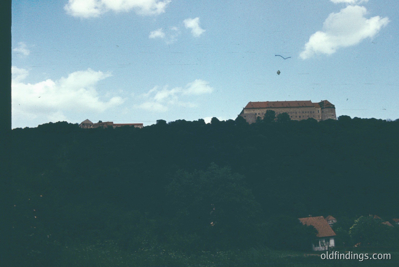 Vintage photograph