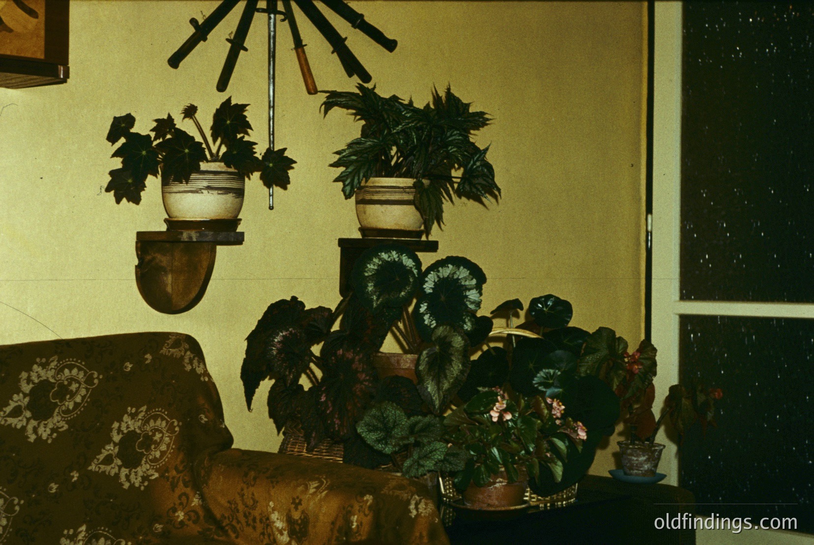 Vintage photograph