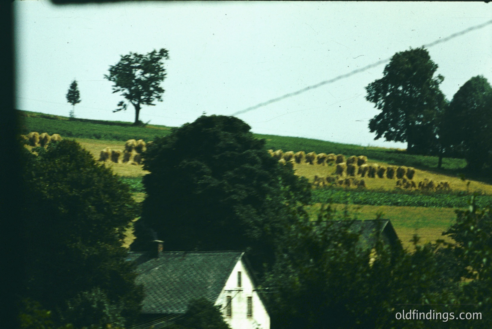 Vintage photograph