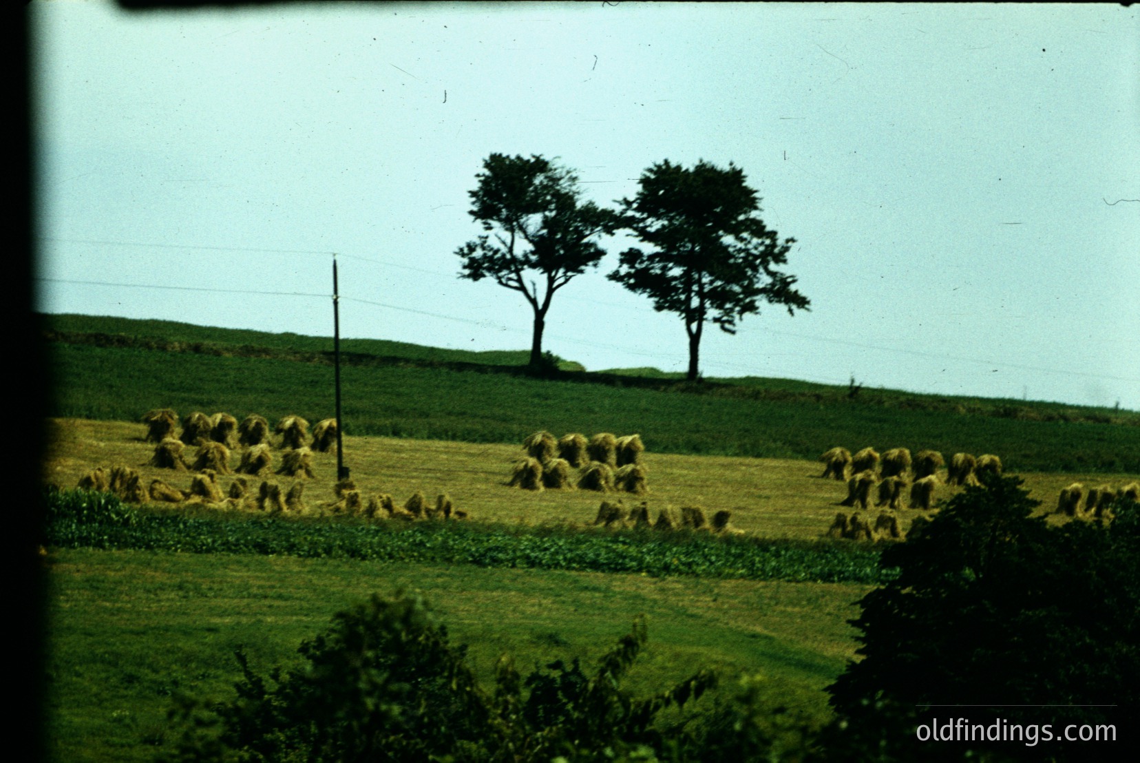 Vintage photograph