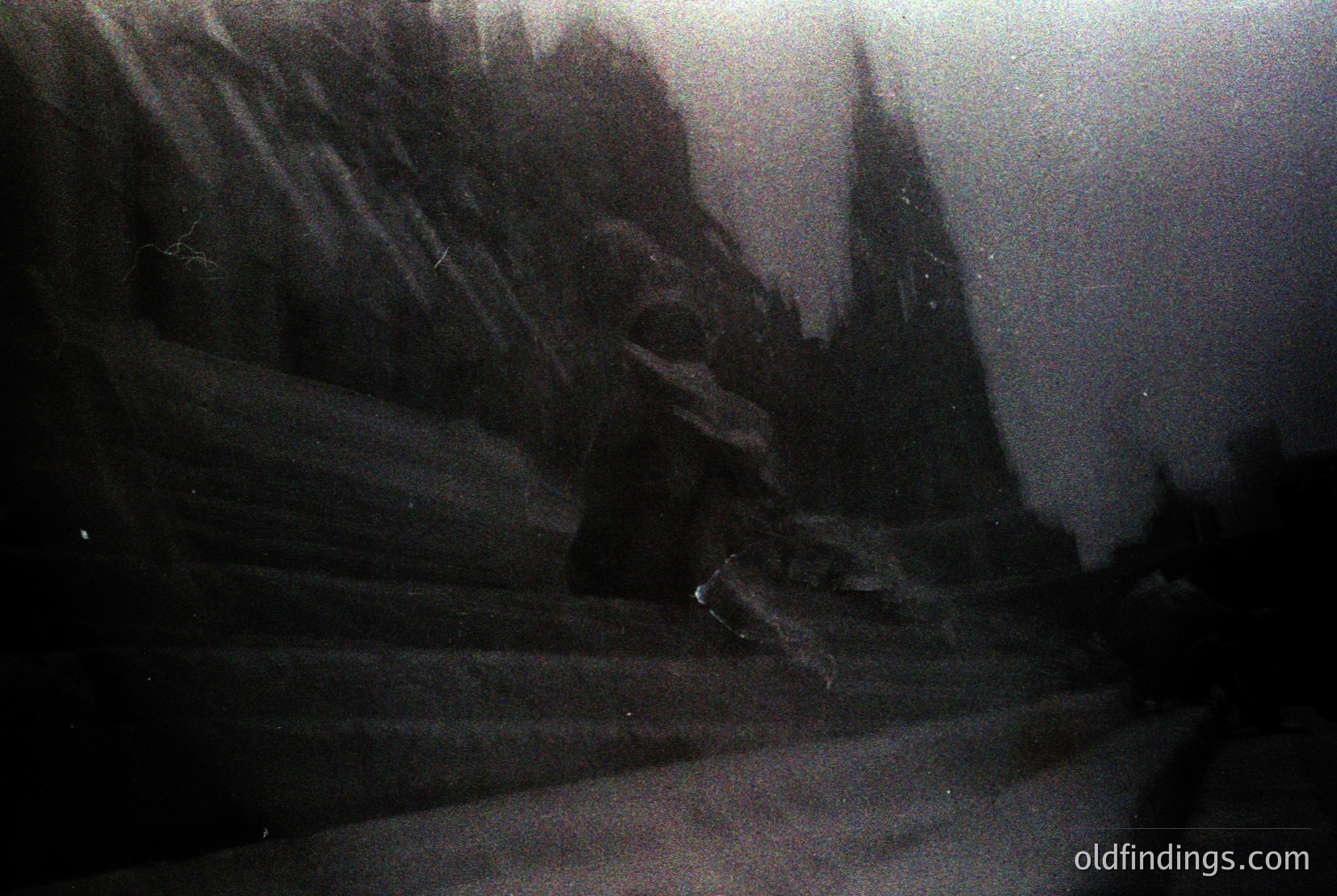 Vintage photograph