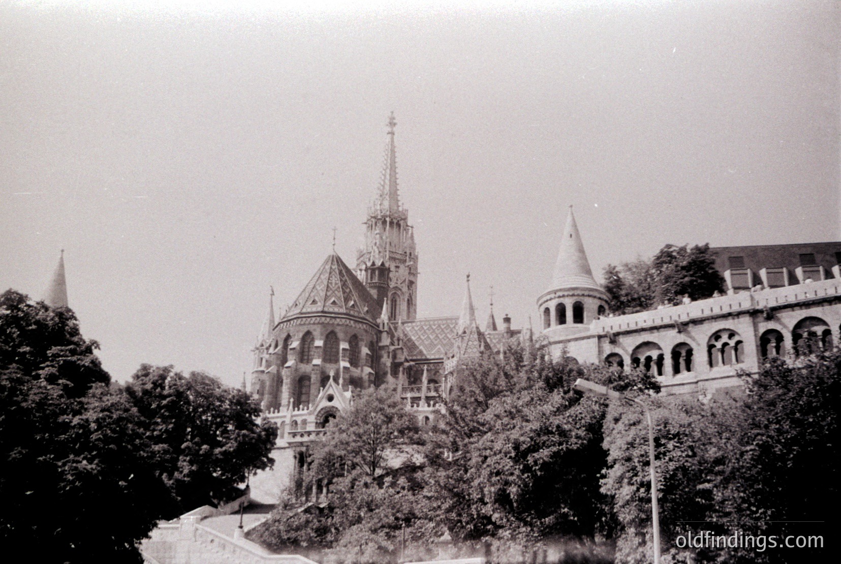 Vintage photograph