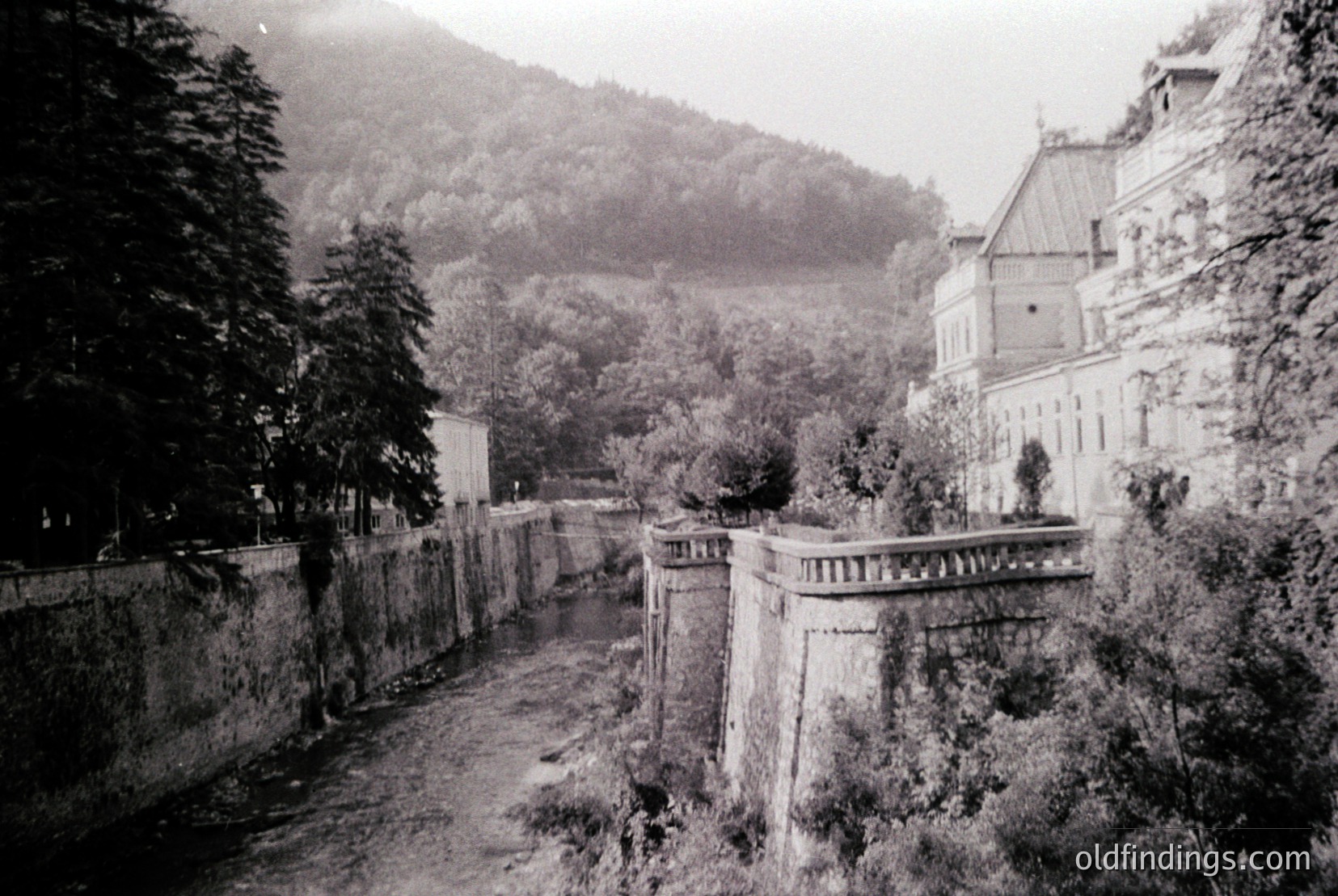 Vintage photograph