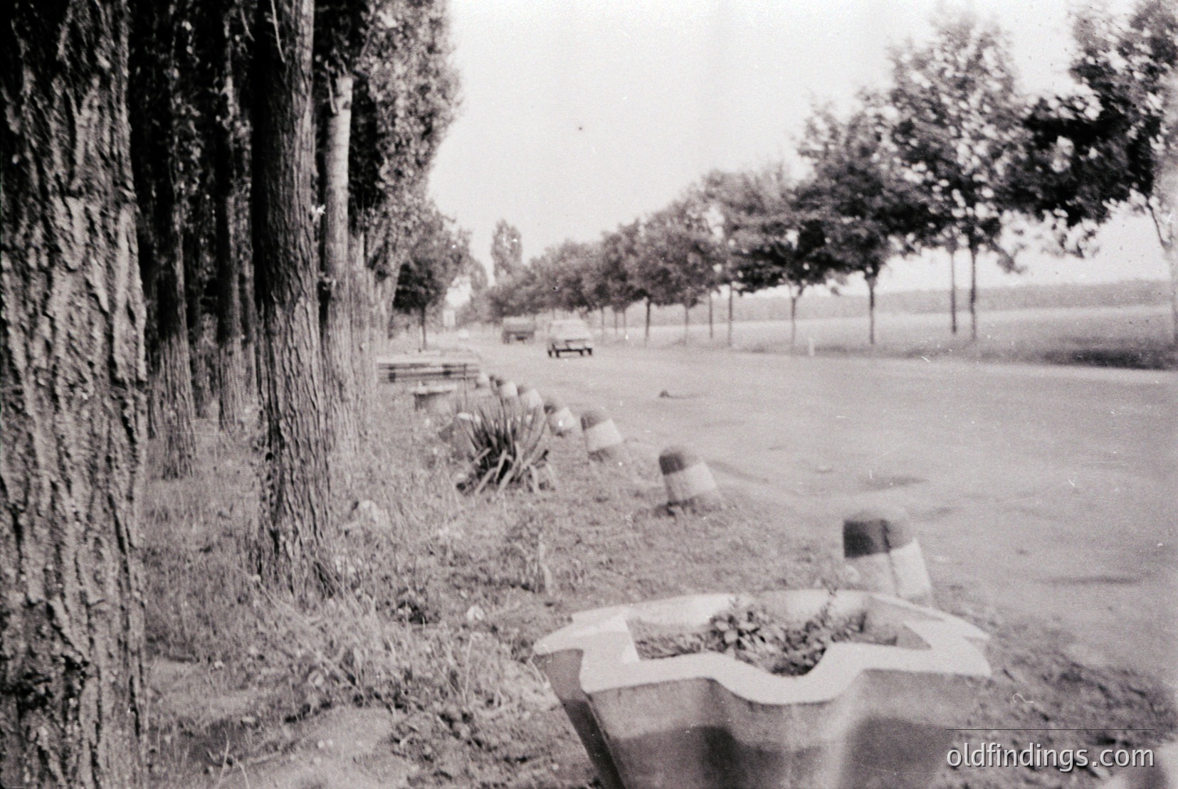 Vintage photograph