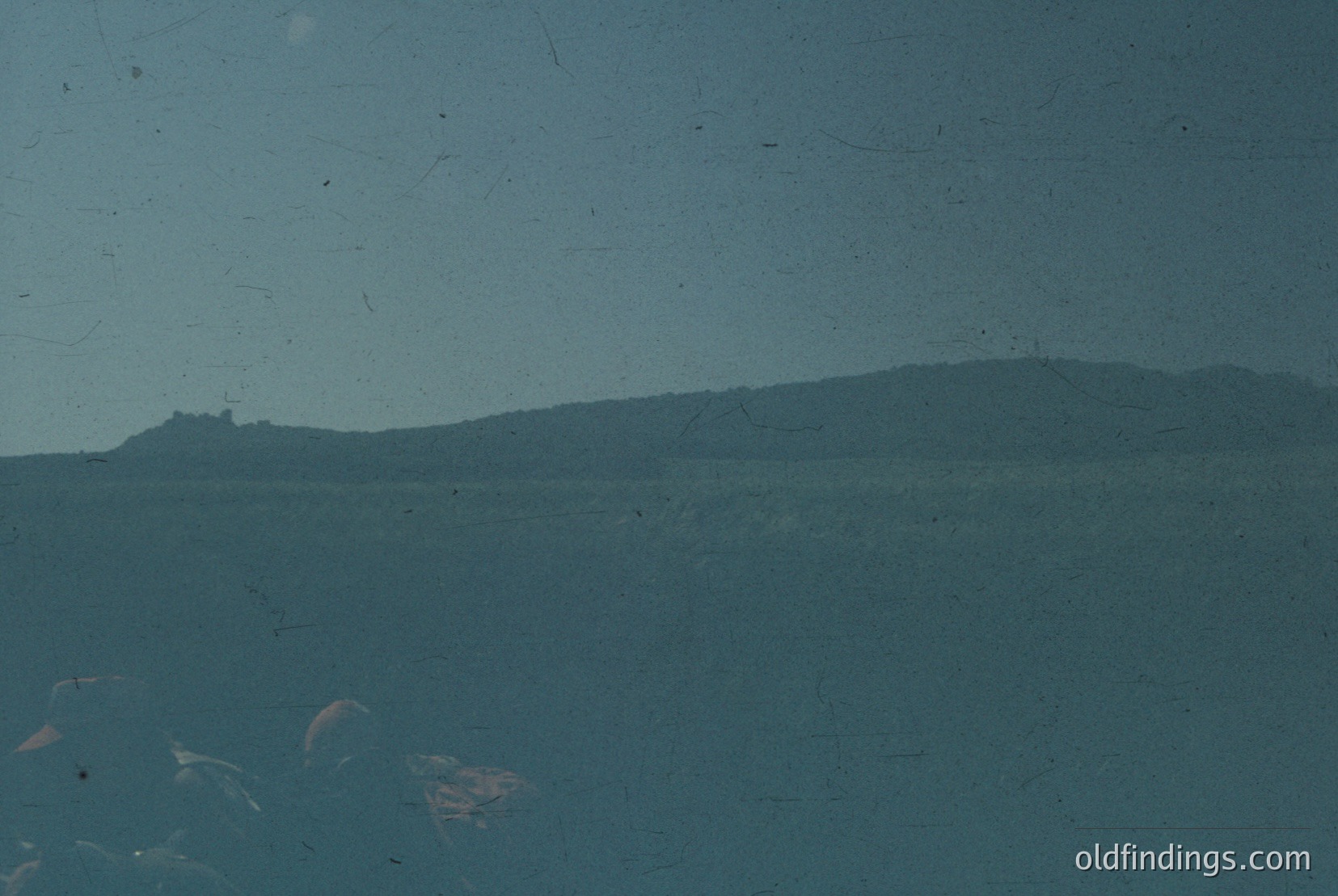 Vintage photograph