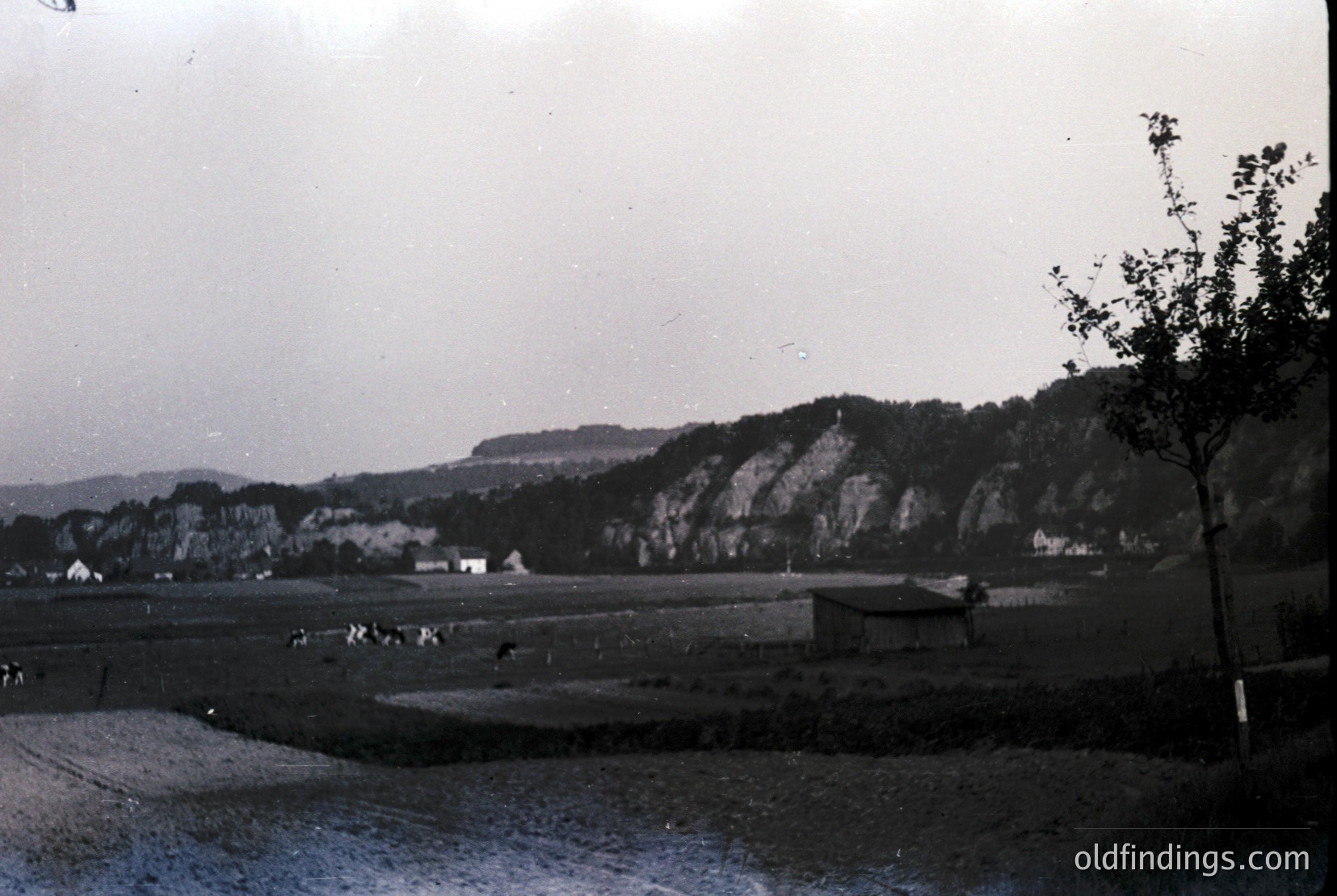 Vintage photograph